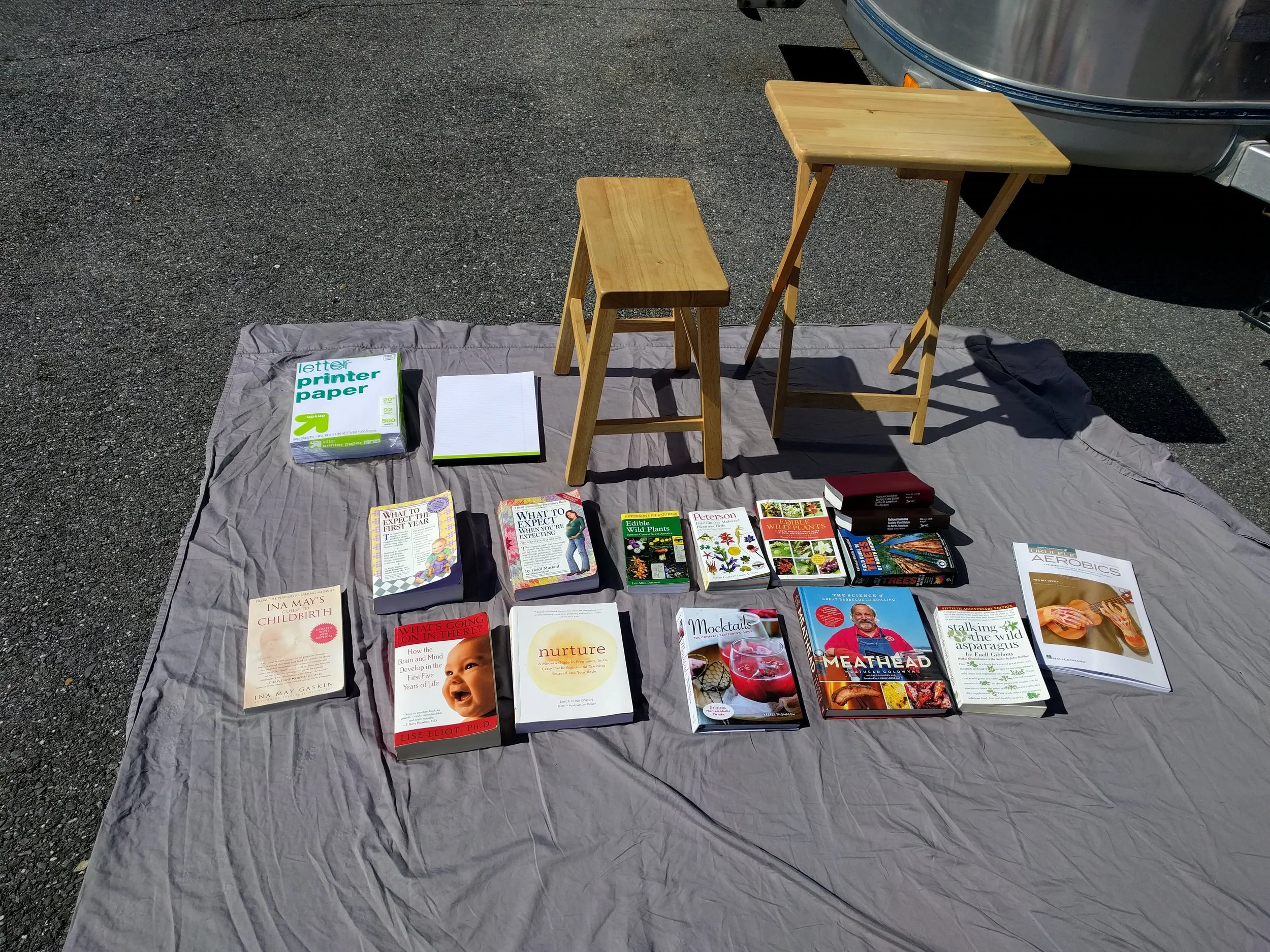 Books and Furniture.jpg