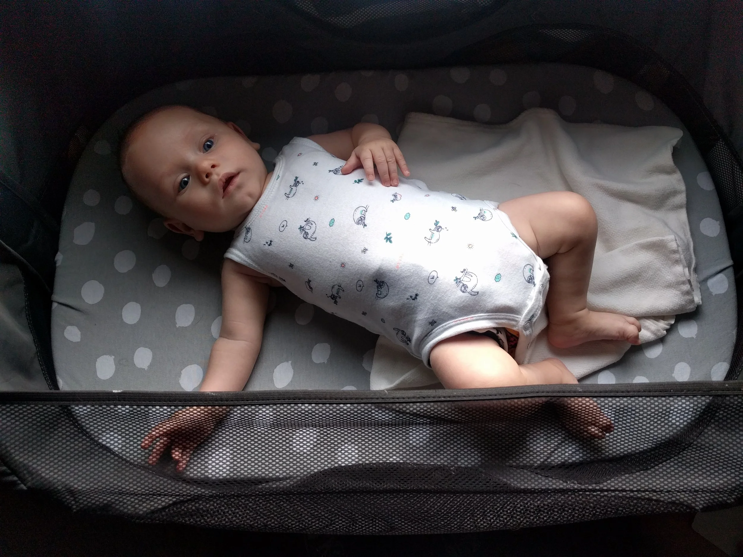 Portable Bassinet.jpg