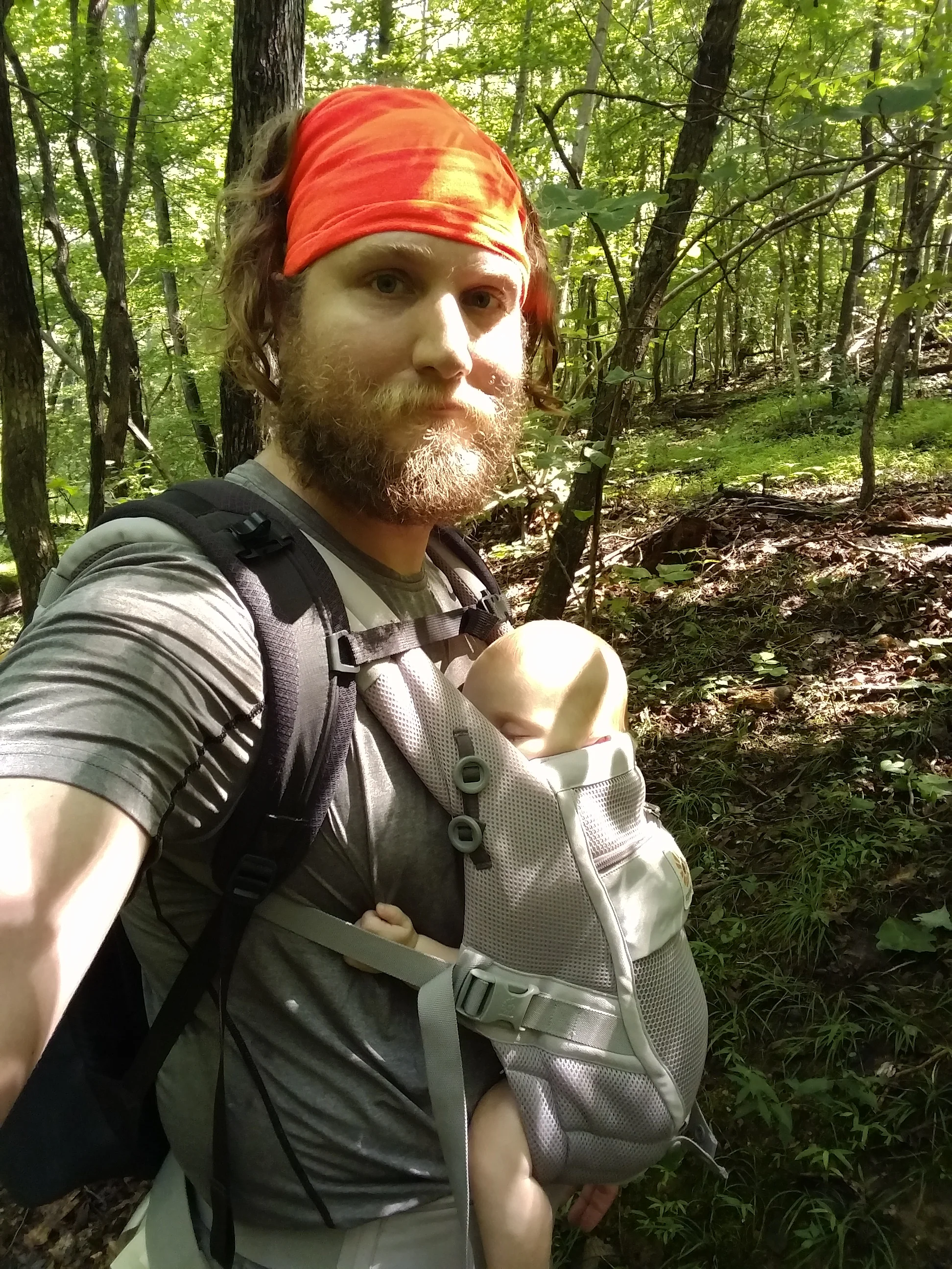 Ergo Baby Carrier Hiking.jpg
