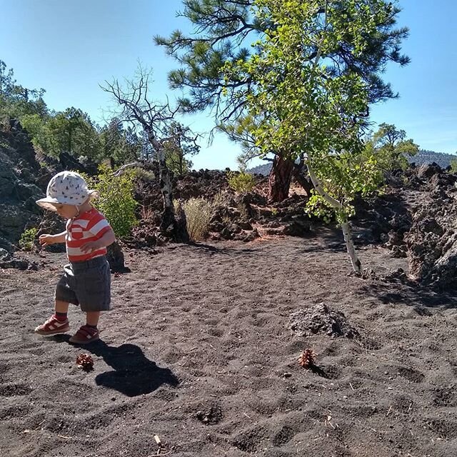 Took a Sunday trip out to see the sunset crater volcano, and all we can say is wow.  Giant lava lake with sharp rocks, black sand, lava tubes and cinder cones and trees growing right out of the rock.  L enjoyed walking around and finding sand, pineco