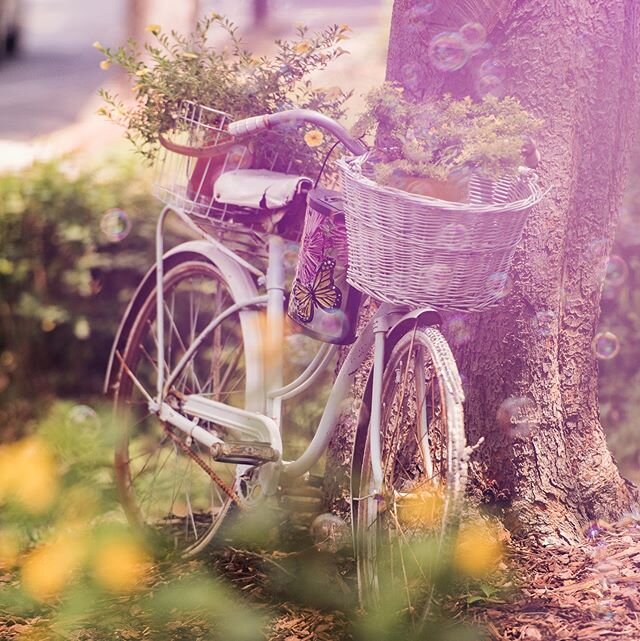 This beautiful day has me dreaming of Spring. I loved this vintage bike used as a planter in the yard of the Greens College Hill bungalow in the Spring issue of Seasons Magazine. The bubble machine was an added bonus 🙌🏻😃 #
.
.
.
.
#hurryupspring #