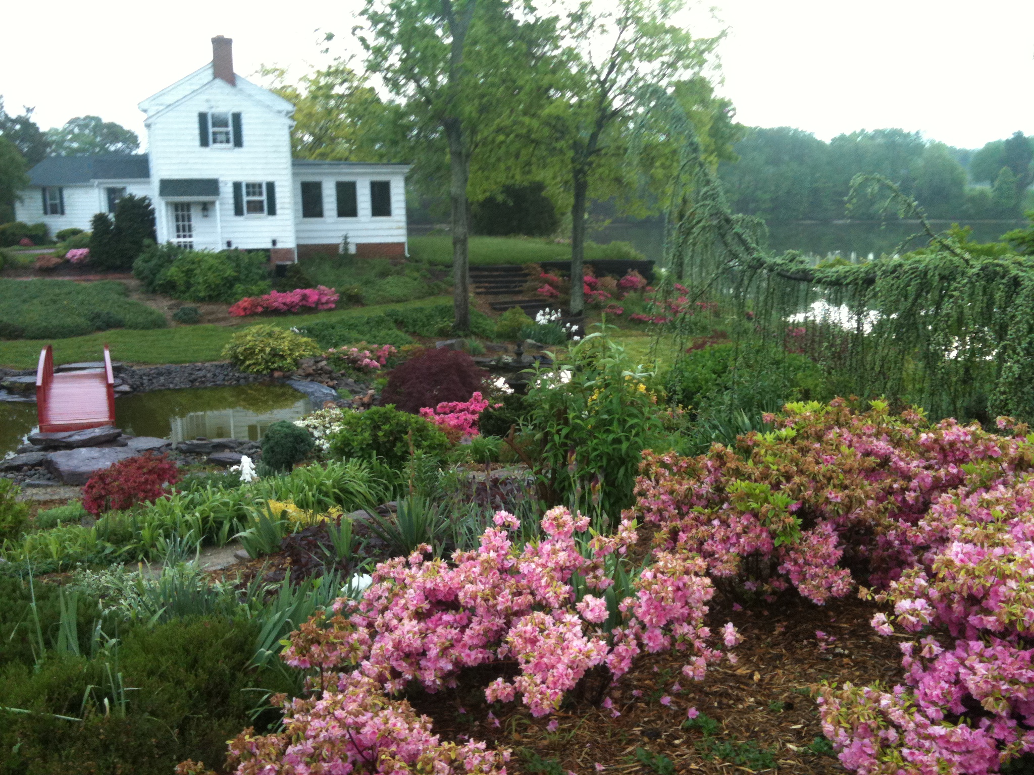 Jubilee Gardens April 2013.JPG