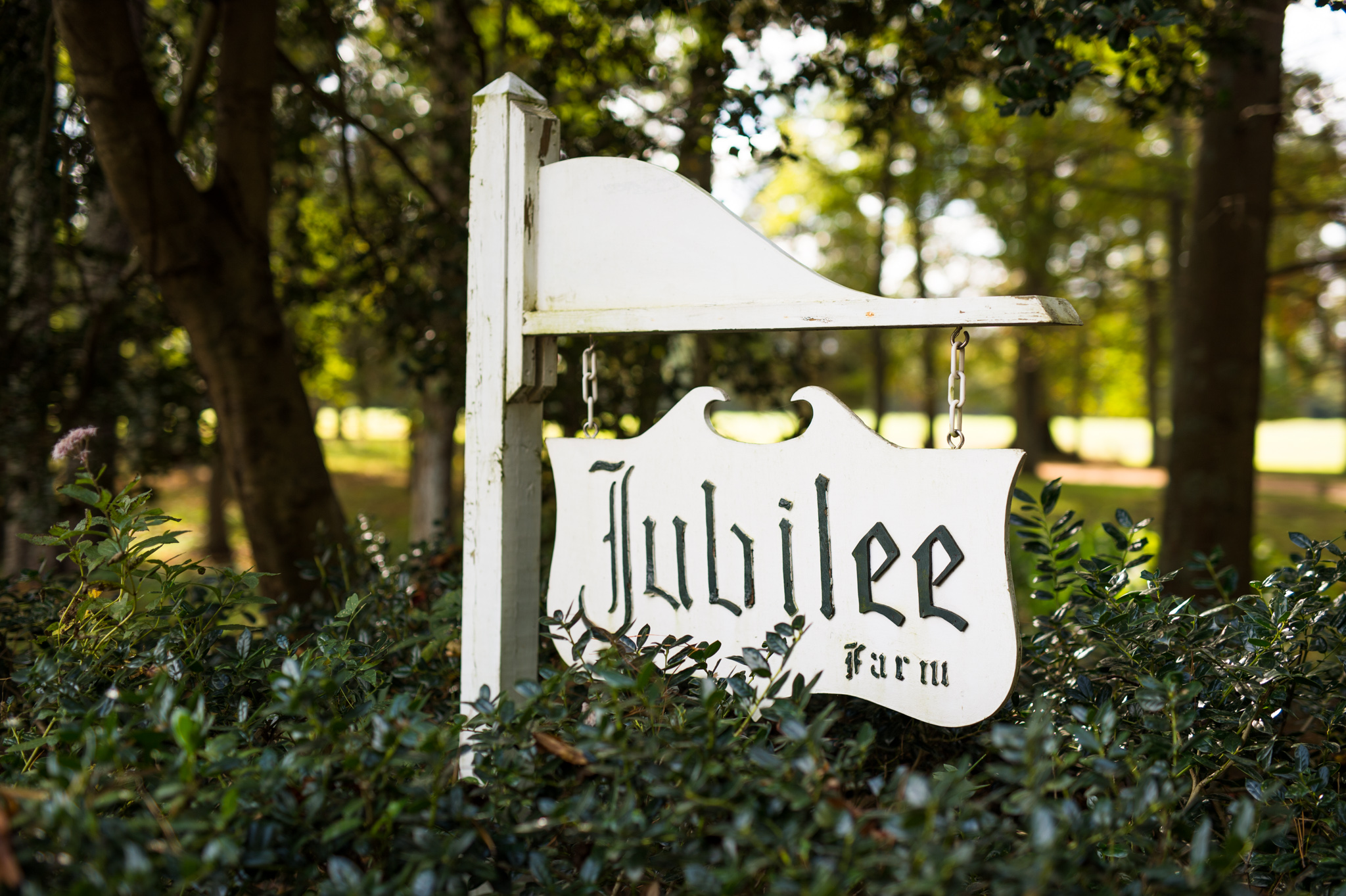Jubilee+Farm+Wedding+Rob+Jinks+(1).jpg
