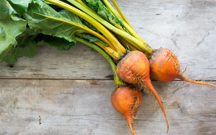 wu8LD7iERS2OgRhkOjDI_beets_gold_bunch_03.jpg
