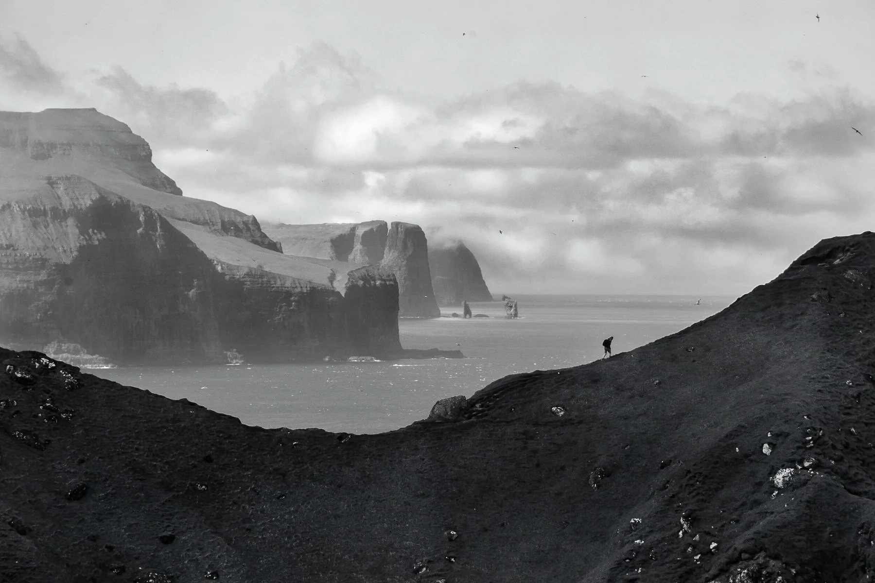 re-edit DSC_0747 low res.jpg