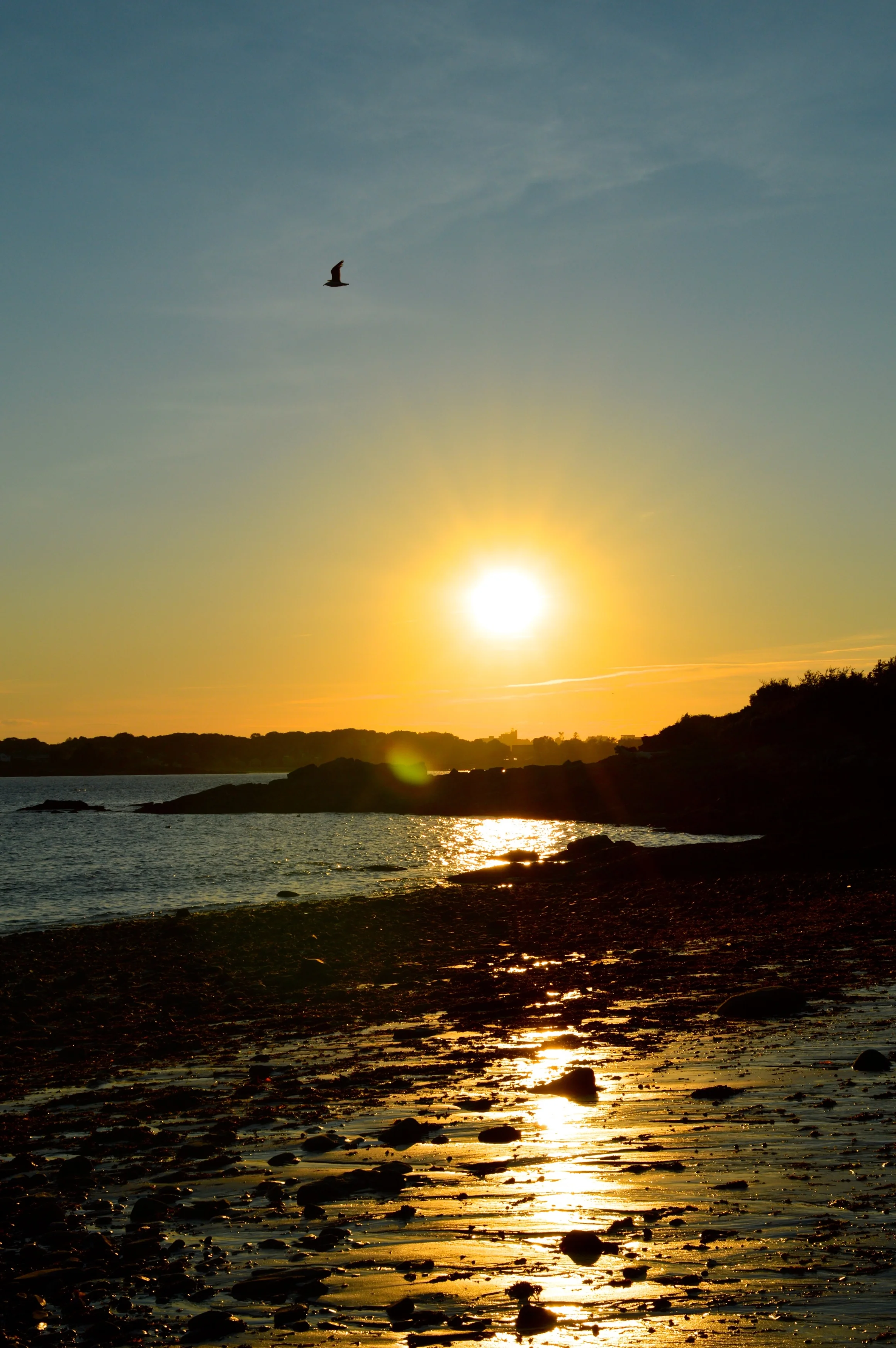 Cushing's Island, Maine