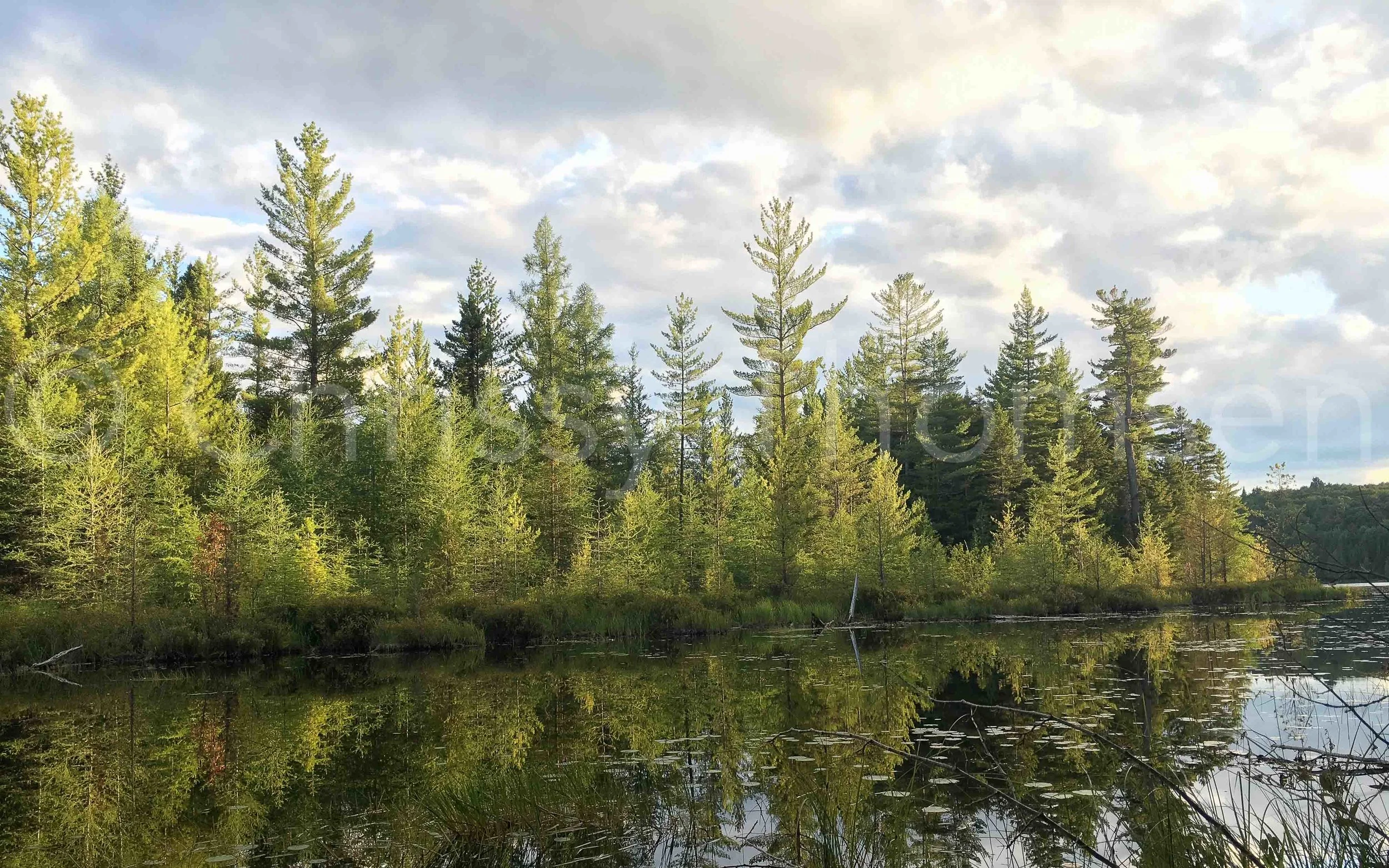 Rock Pond Sunset