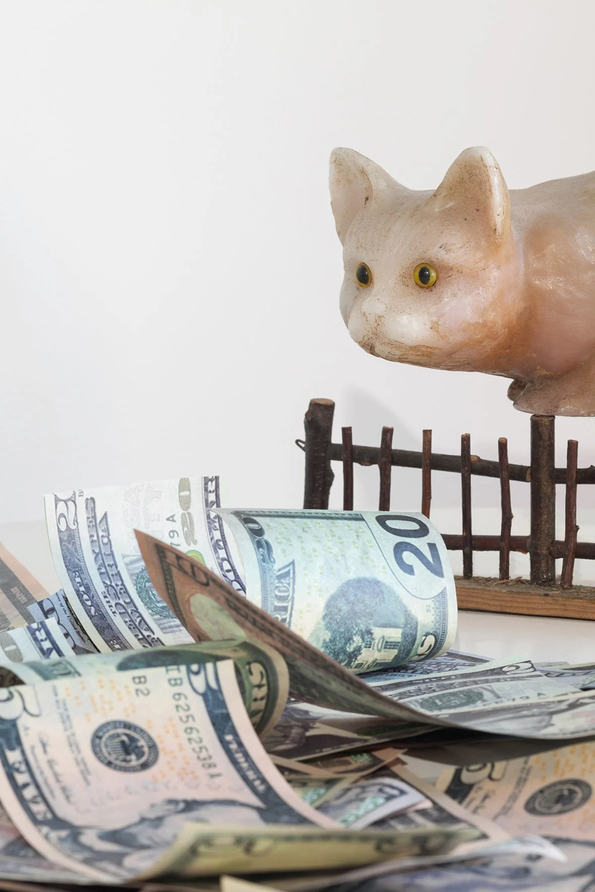catfencemoney_web.JPG