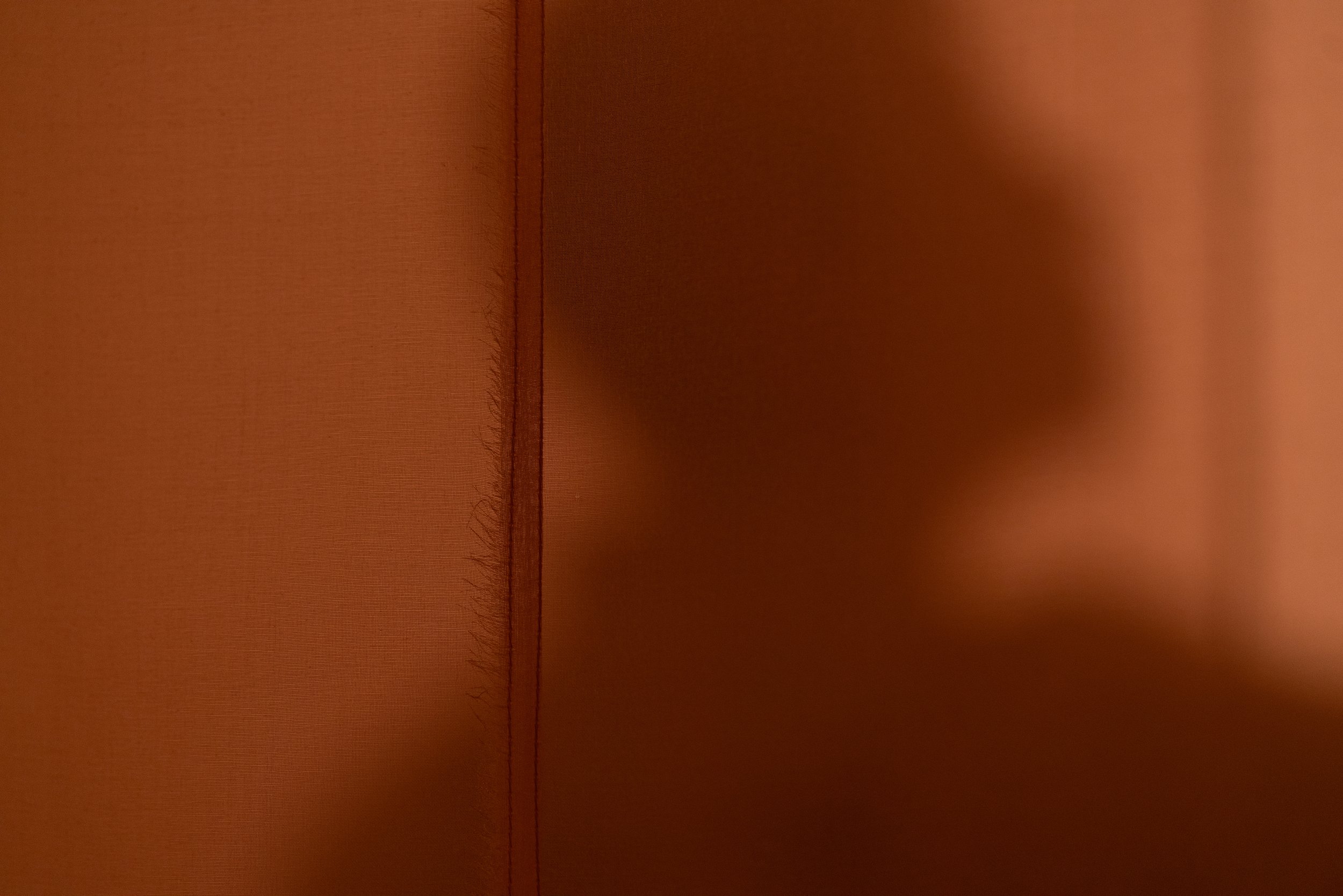DSC01934_edit.jpg