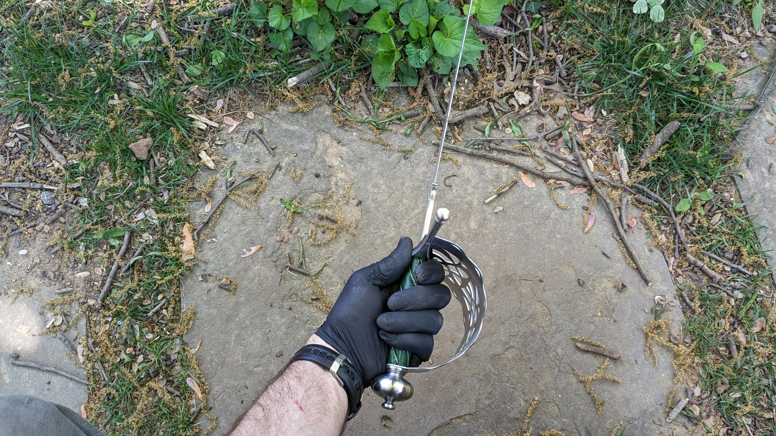 PXL_20230421_174259725.jpeg