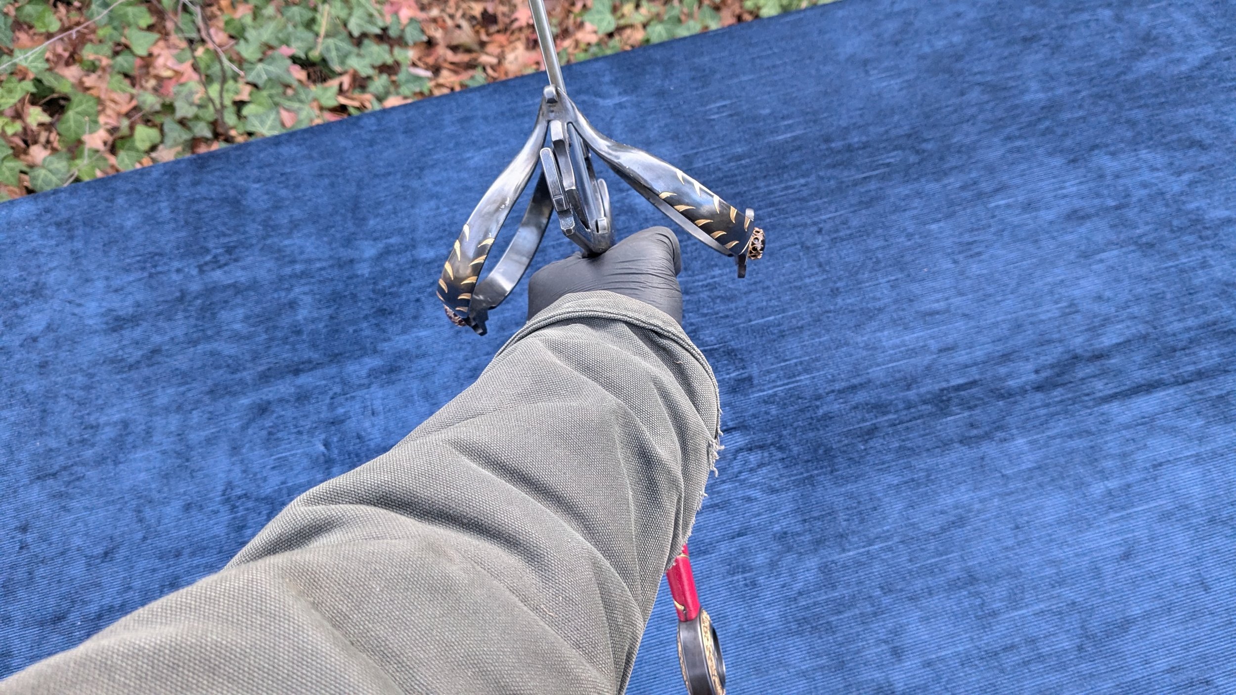 PXL_20241212_201743577.jpeg