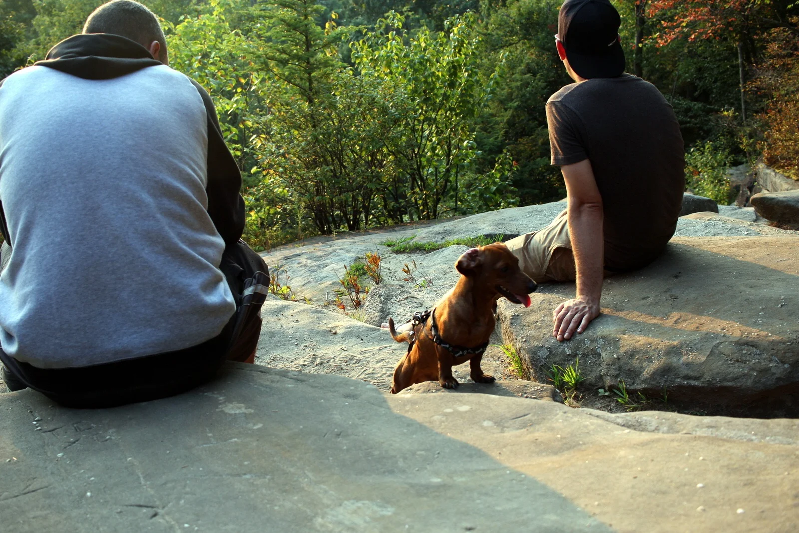 On the Ledges Overlook.