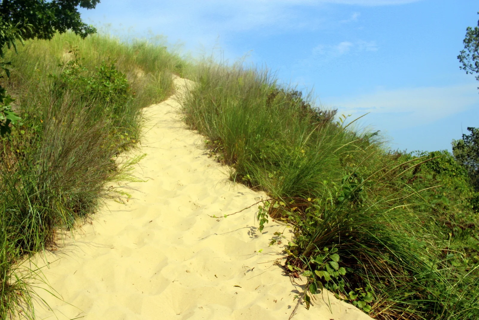 Ascending a dune.