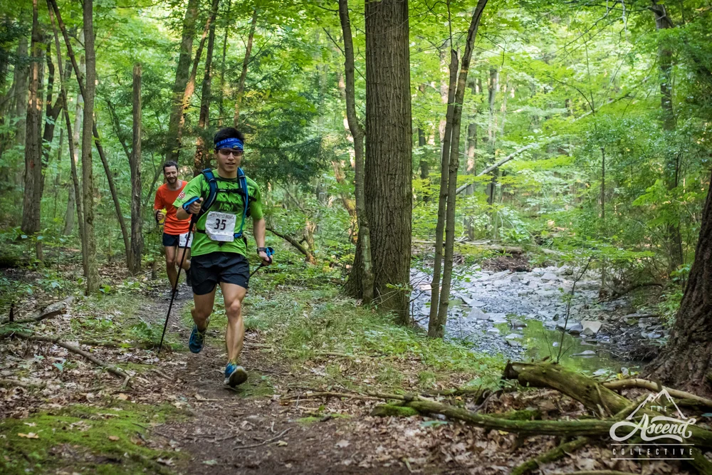 Race Report: Twisted Branch Trail Run