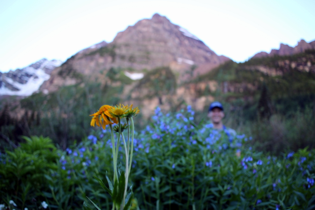 6:17 a.m. Blending in with the wildflowers.