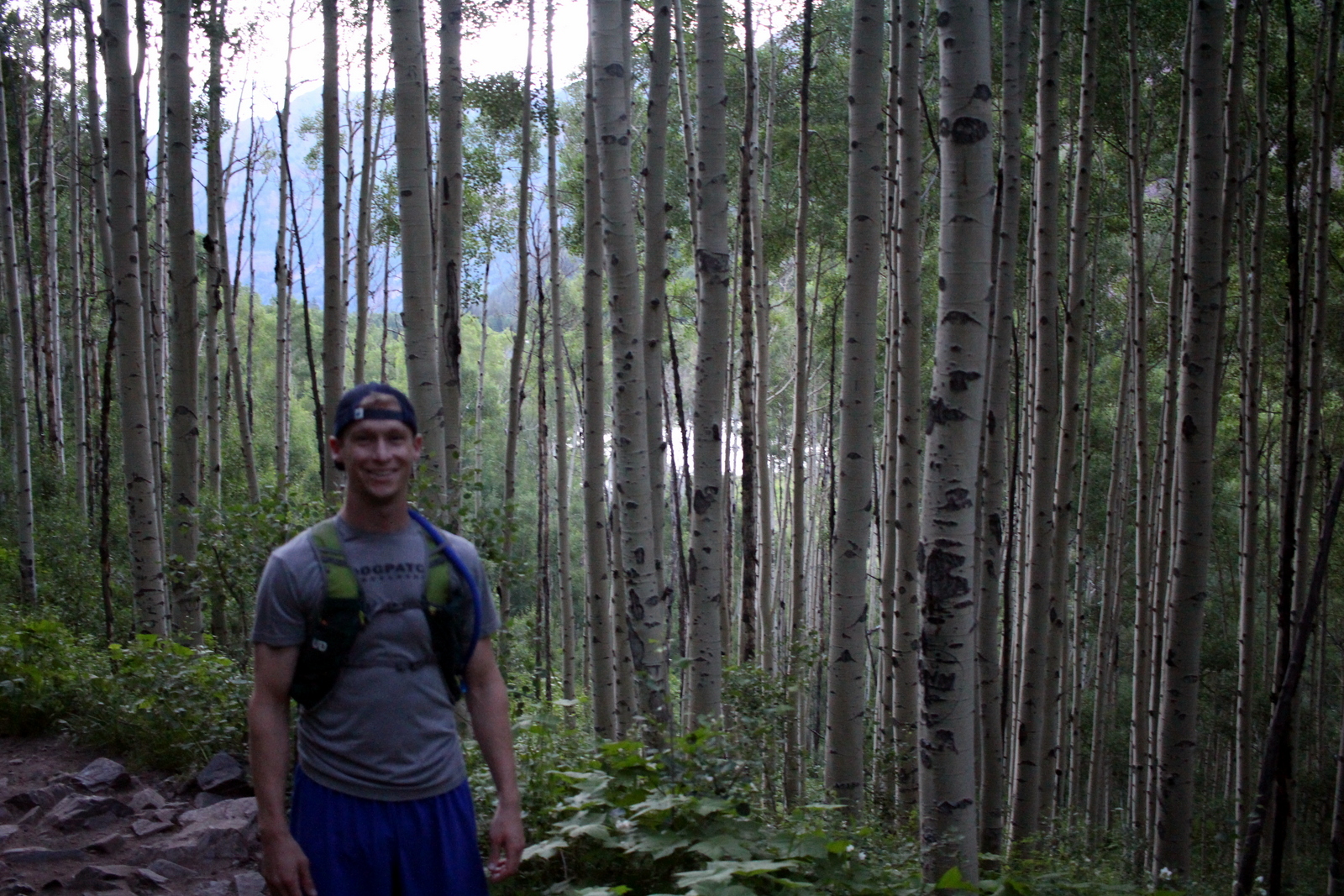 5:47 a.m. Still within the forest.