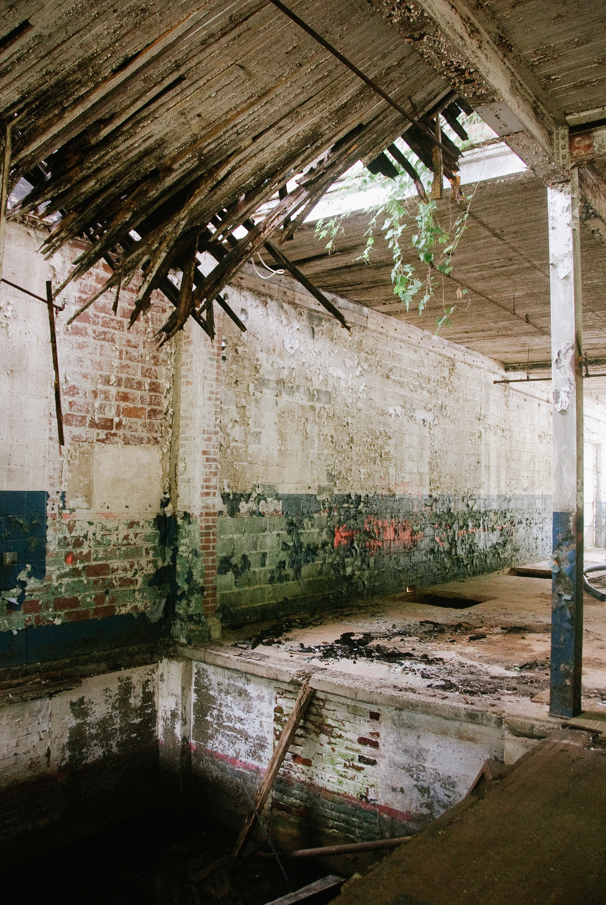 Charlottesville 2010-1.jpg