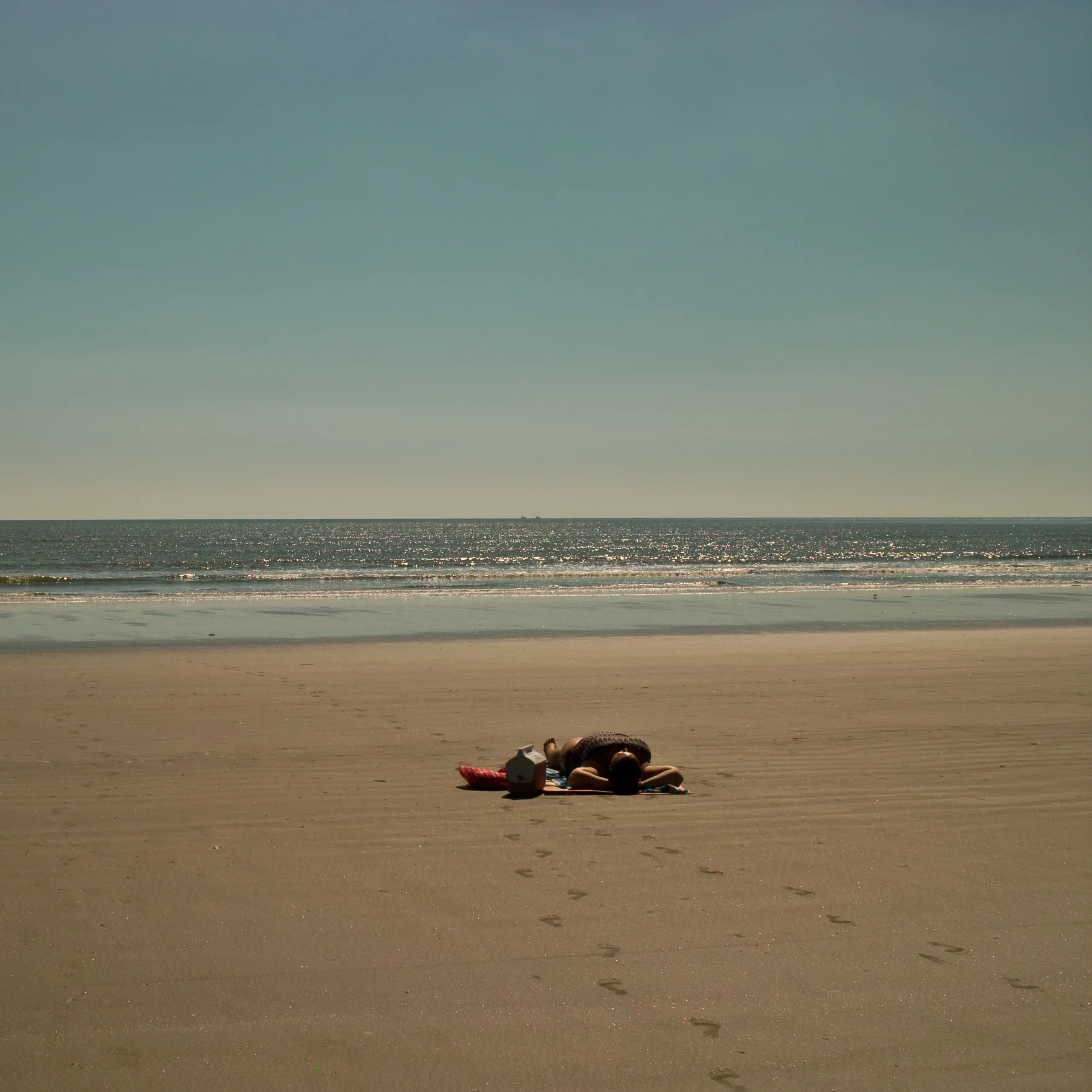 Kiawah Island 2011-1.jpg