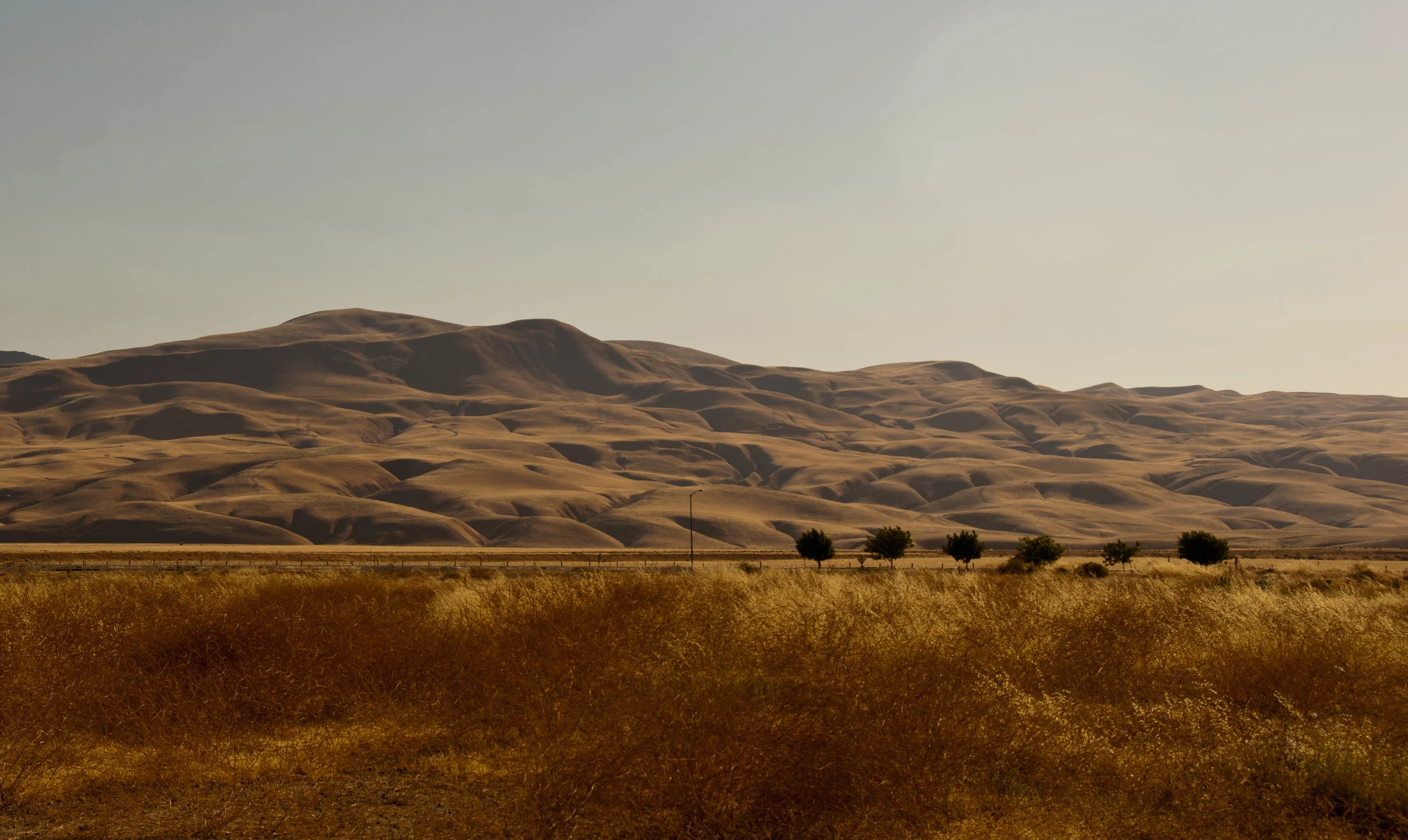 California 2011.jpg