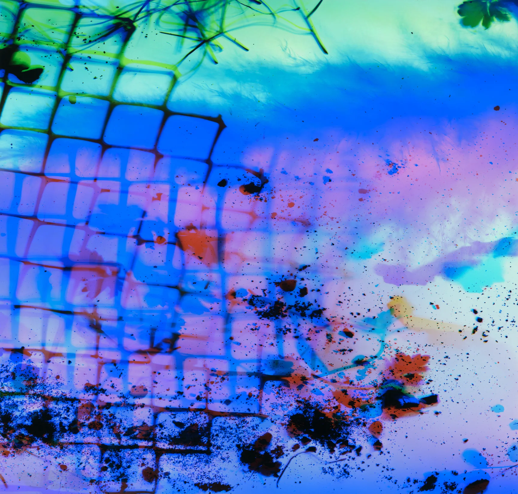   Raidus (Panel 1B), 2017   Public art installation, City of Richmond, Lansdowne Station No. 3 Road Art Column, on display from August 1, 2017 - January 31st, 2018.&nbsp;Presented in partnership by Capture Photography Festival and the City of Richmon