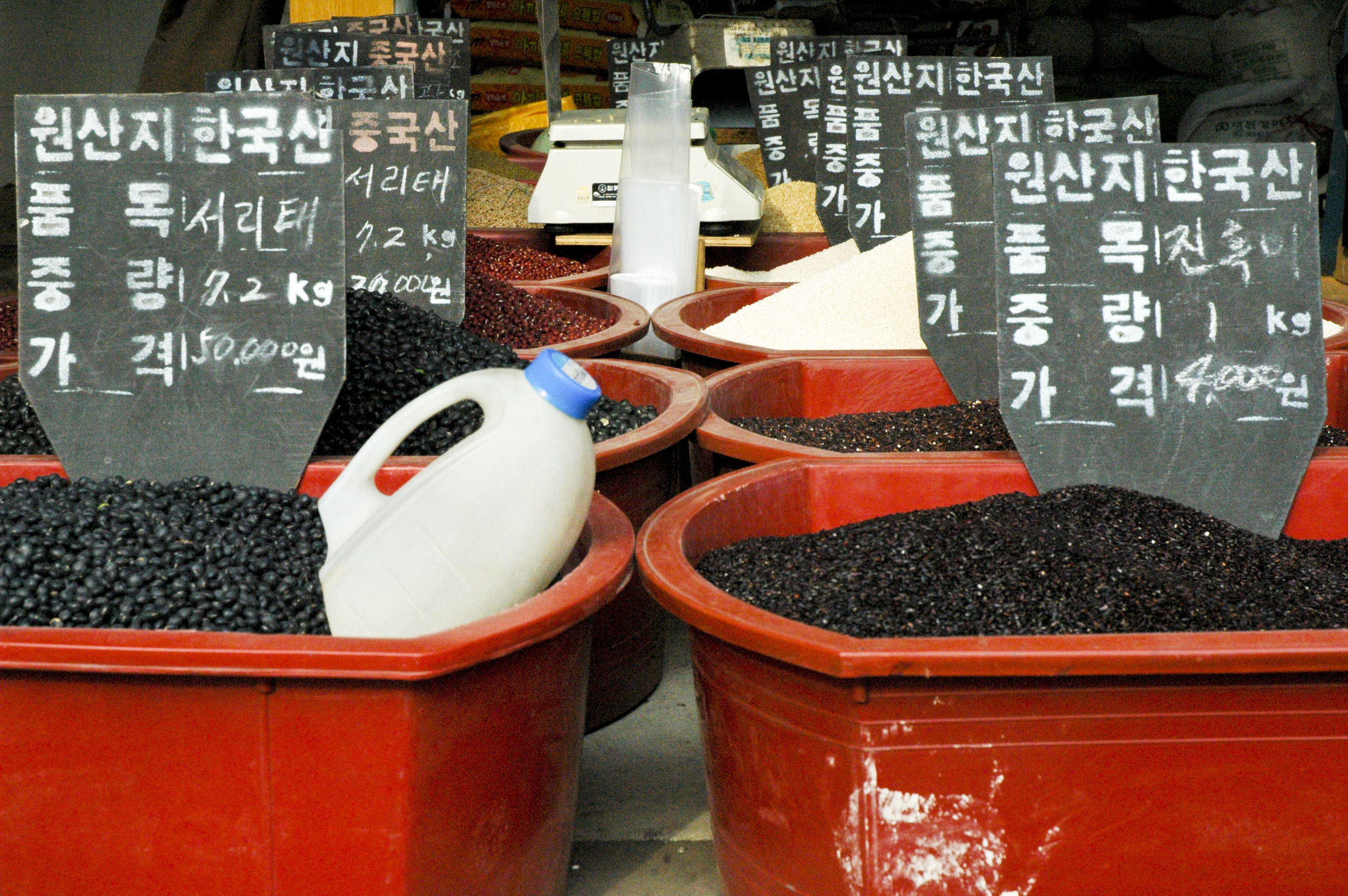 Korea7 Beans for Sale.jpg