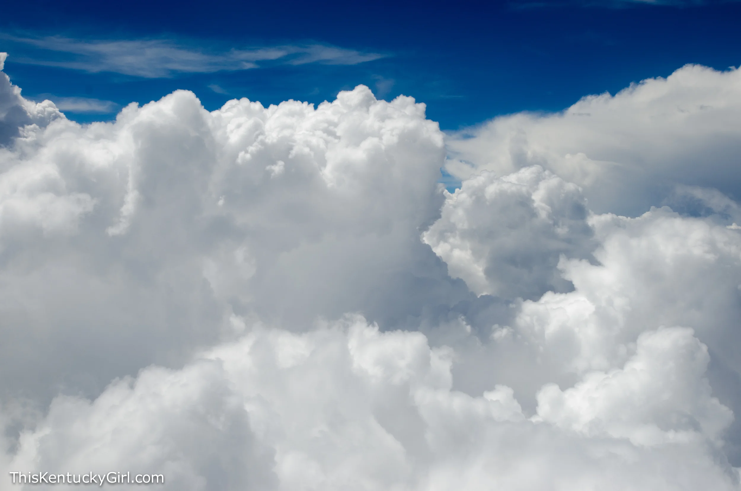 Day 432 web-2.jpg
