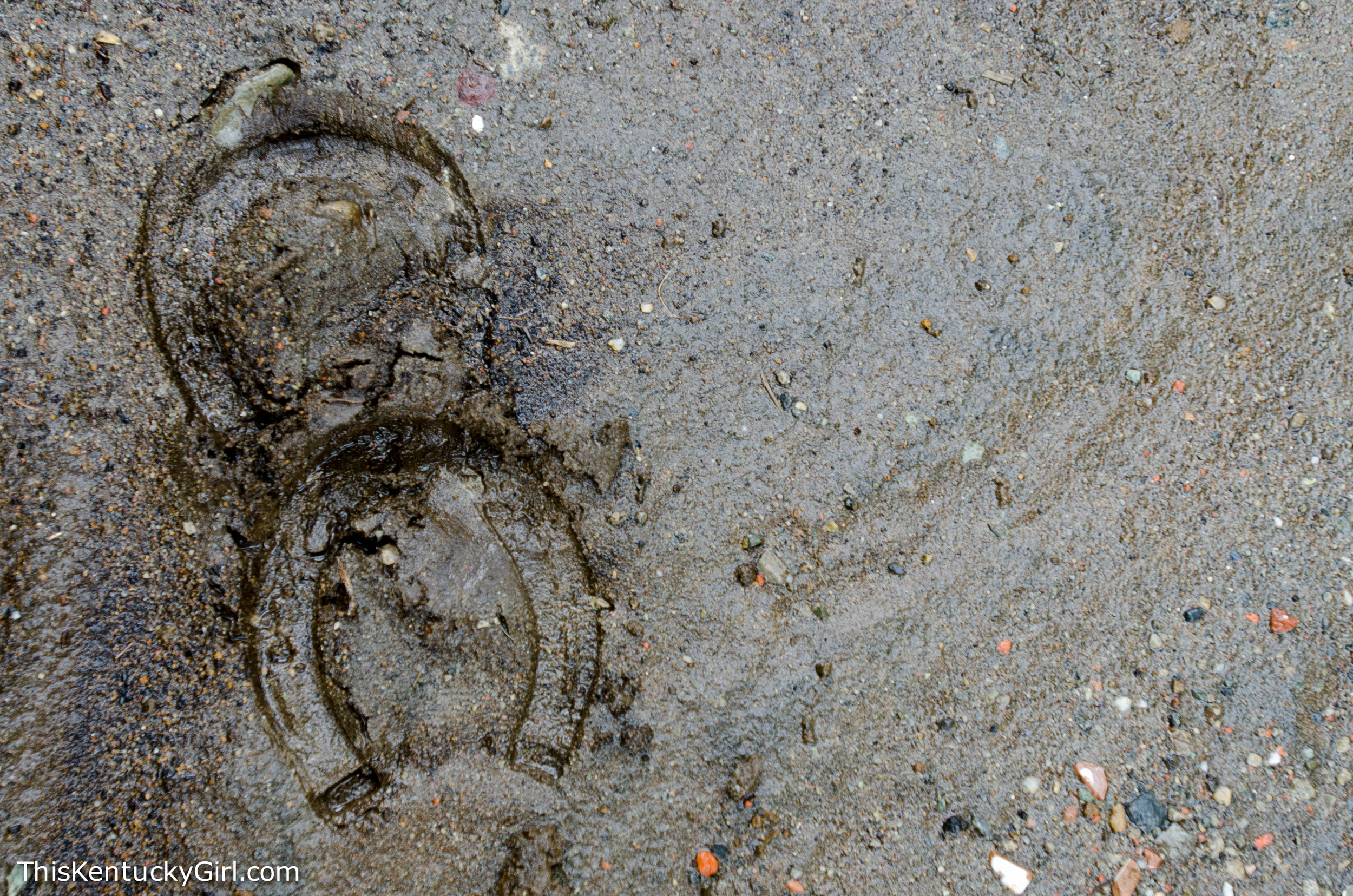 Day 422 web-13.jpg