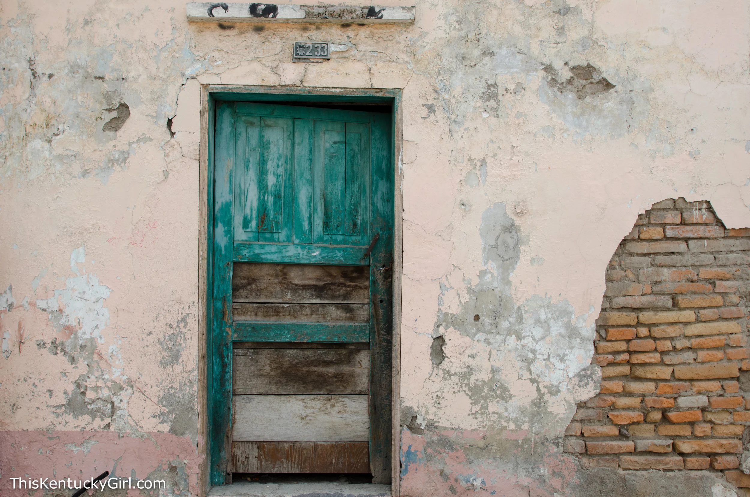 Day 418 web-14.jpg