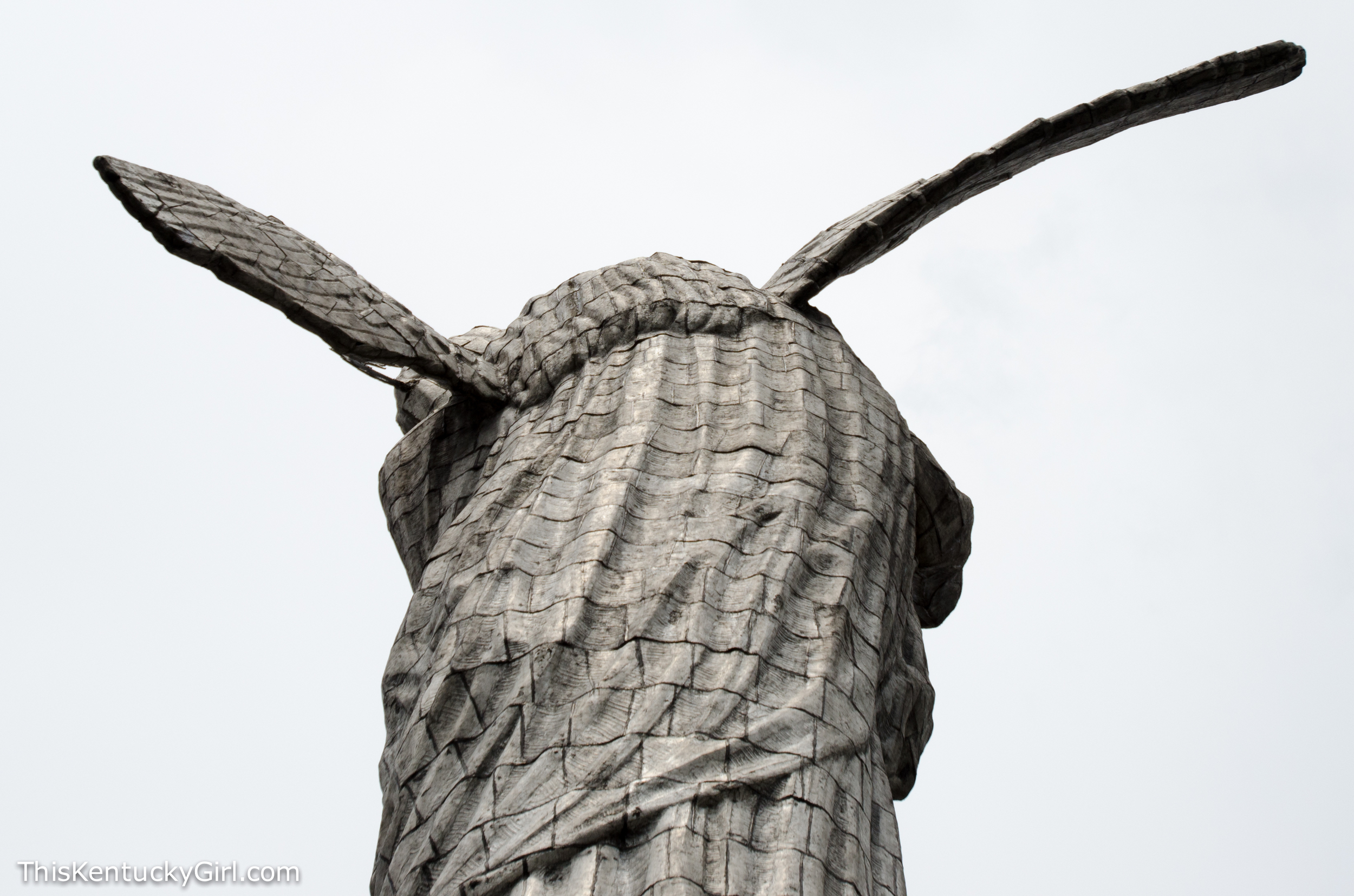 Day 414 web-13.jpg