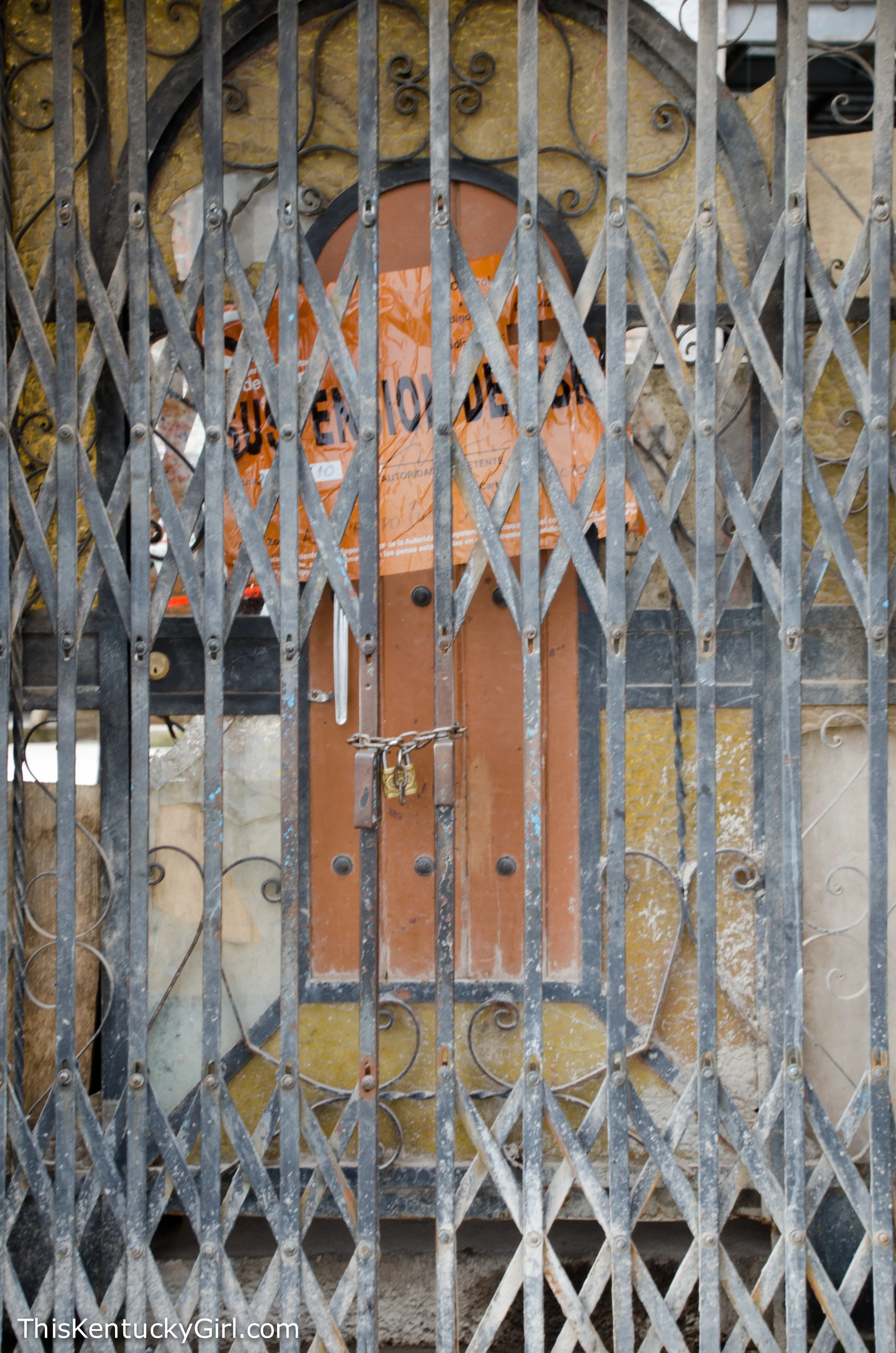 Day 409 web-10.jpg