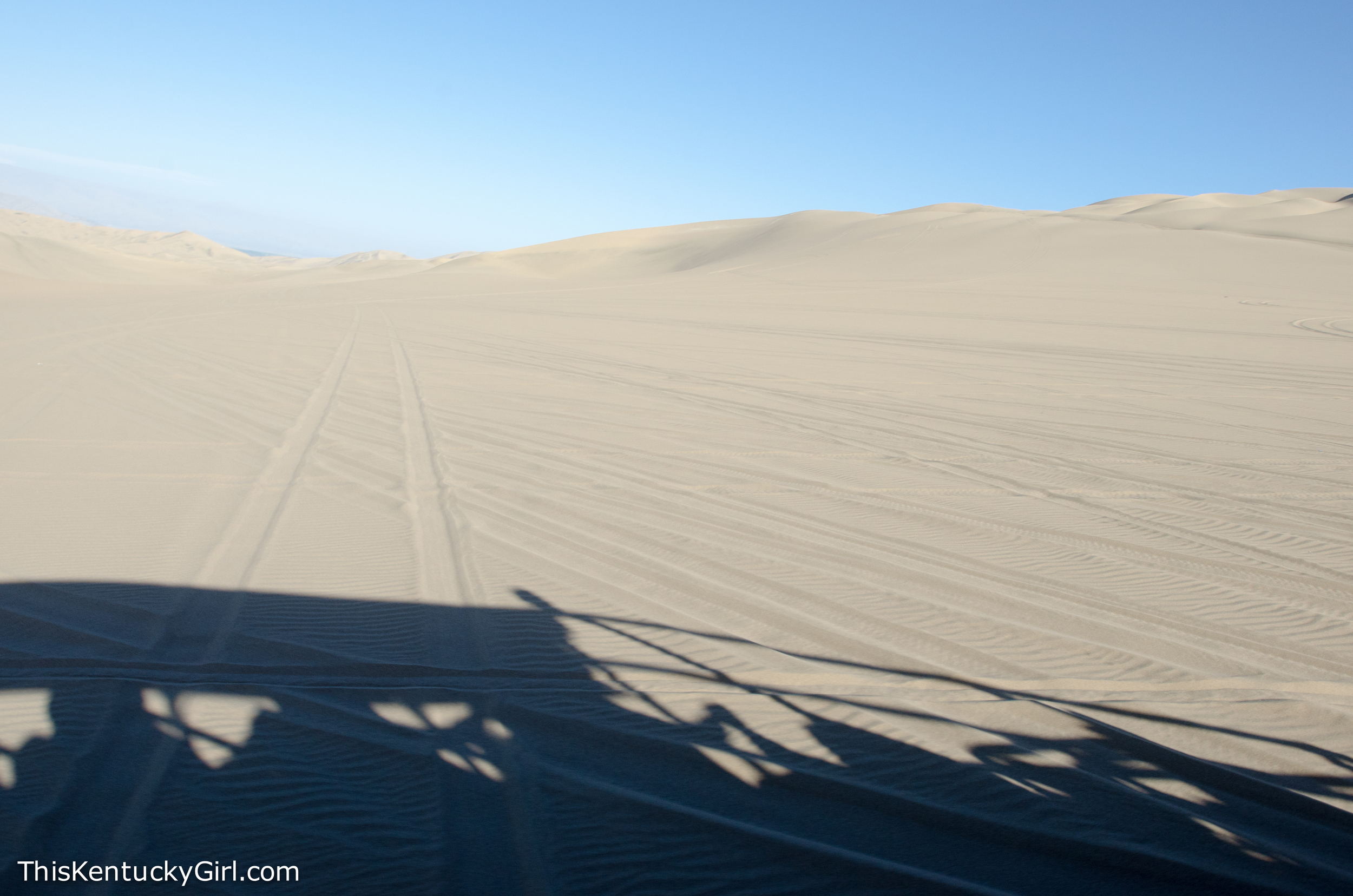 Day 384 web-2.jpg