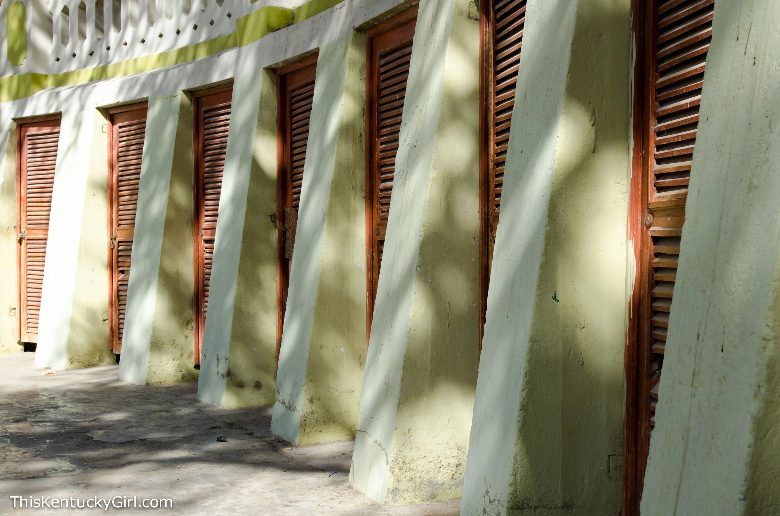 Day 383 web-2.jpg
