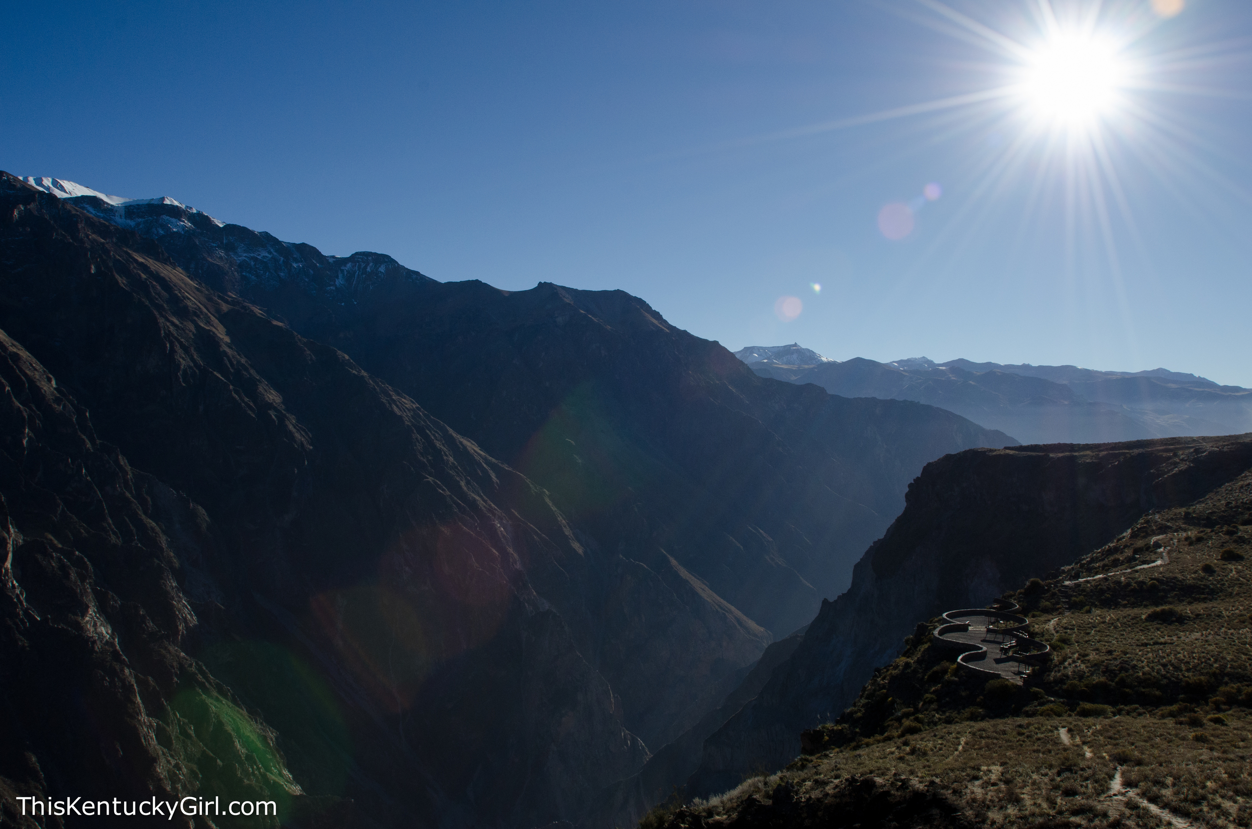 Day 364 web-1.jpg
