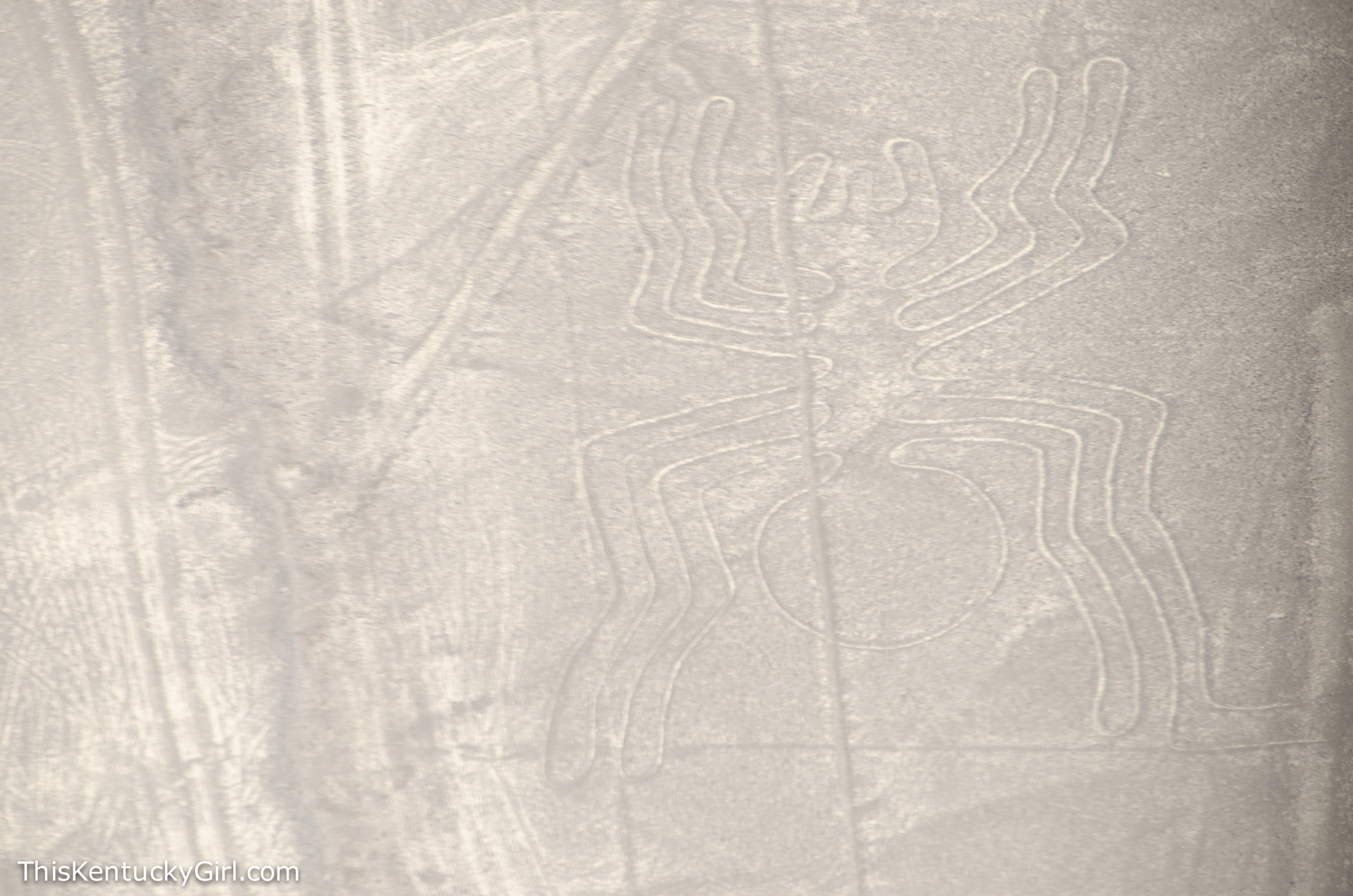 Day 361 web-16.jpg