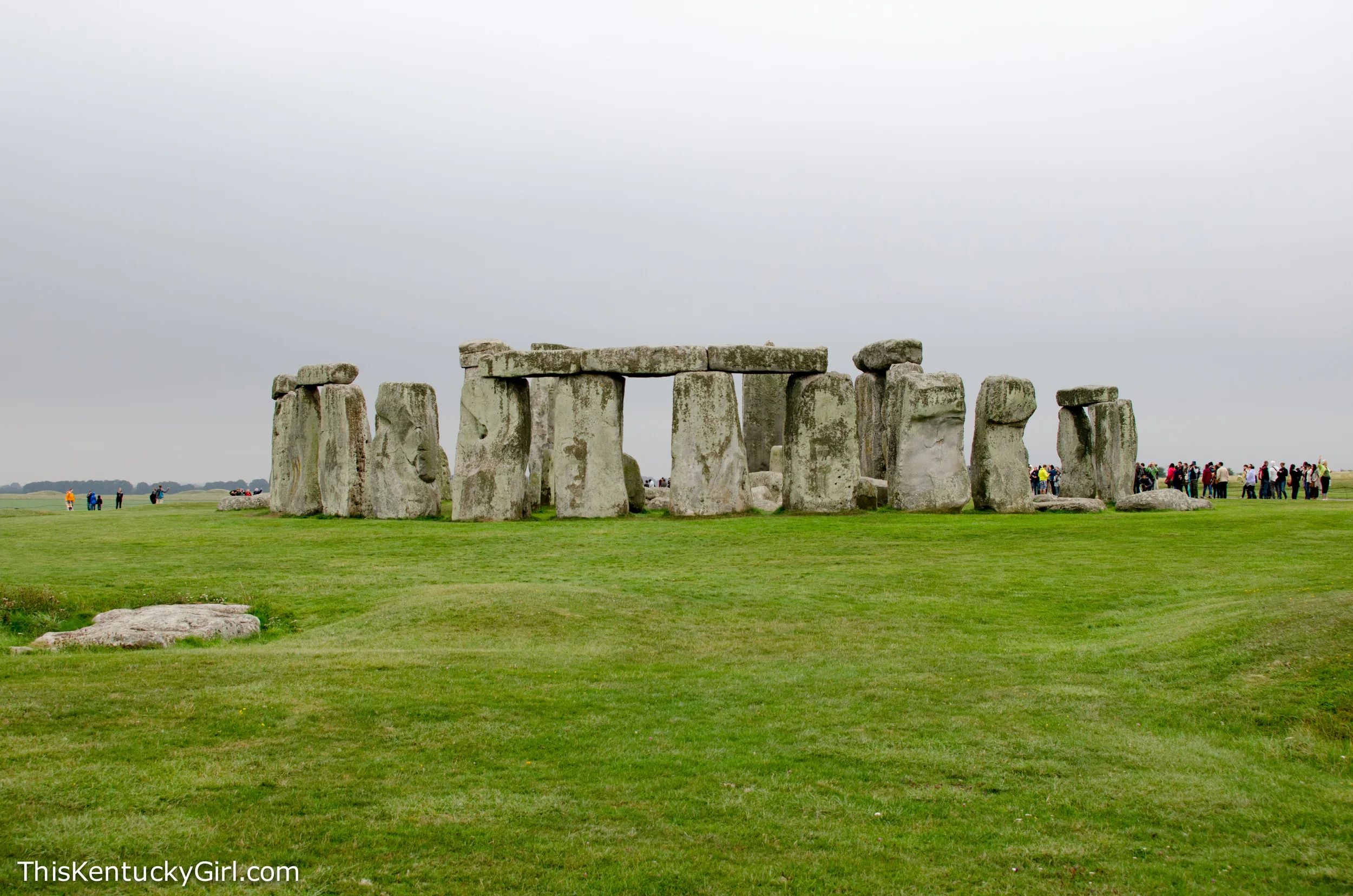 Day 356 web-13.jpg