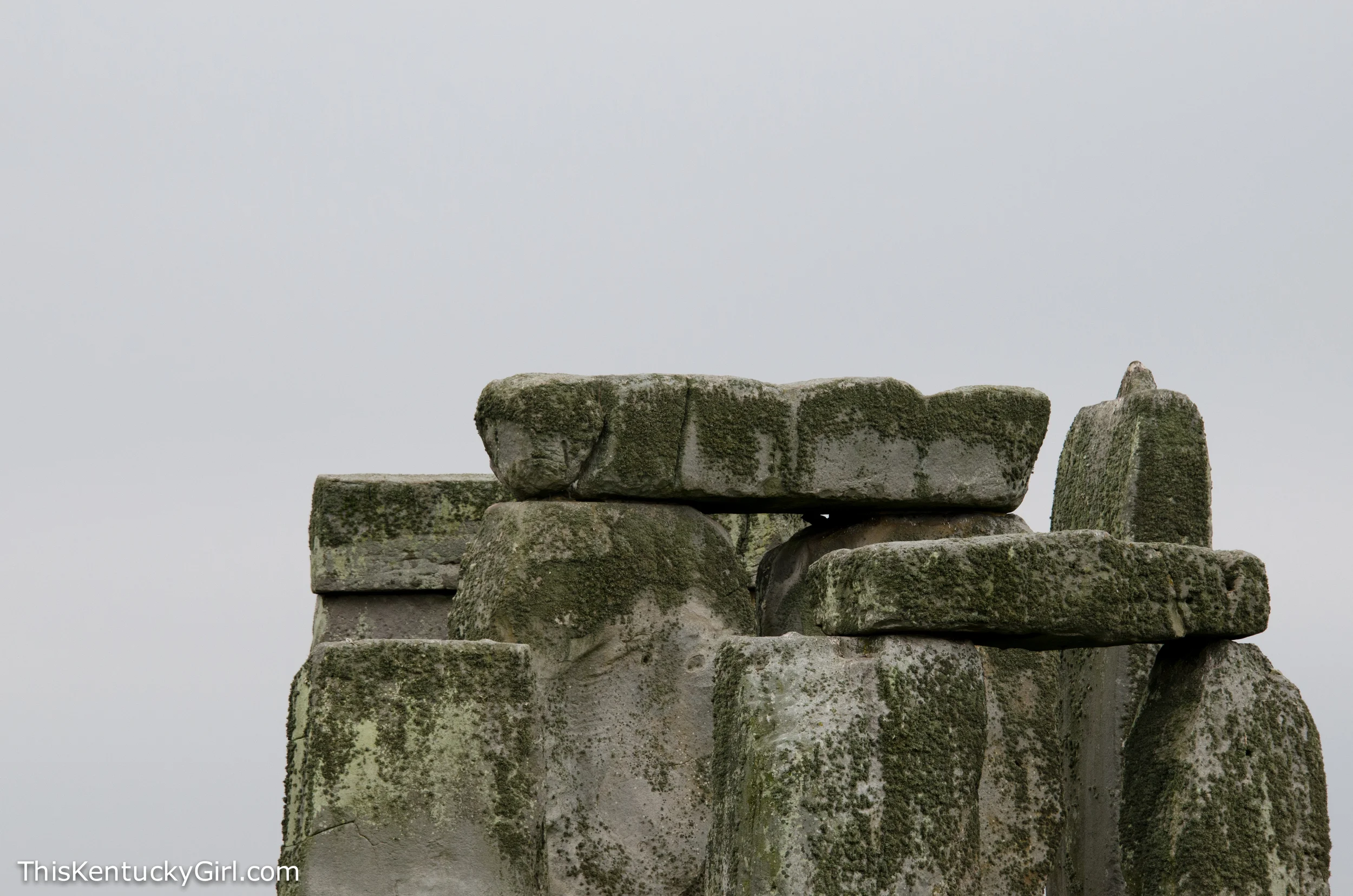 Day 356 web-15.jpg