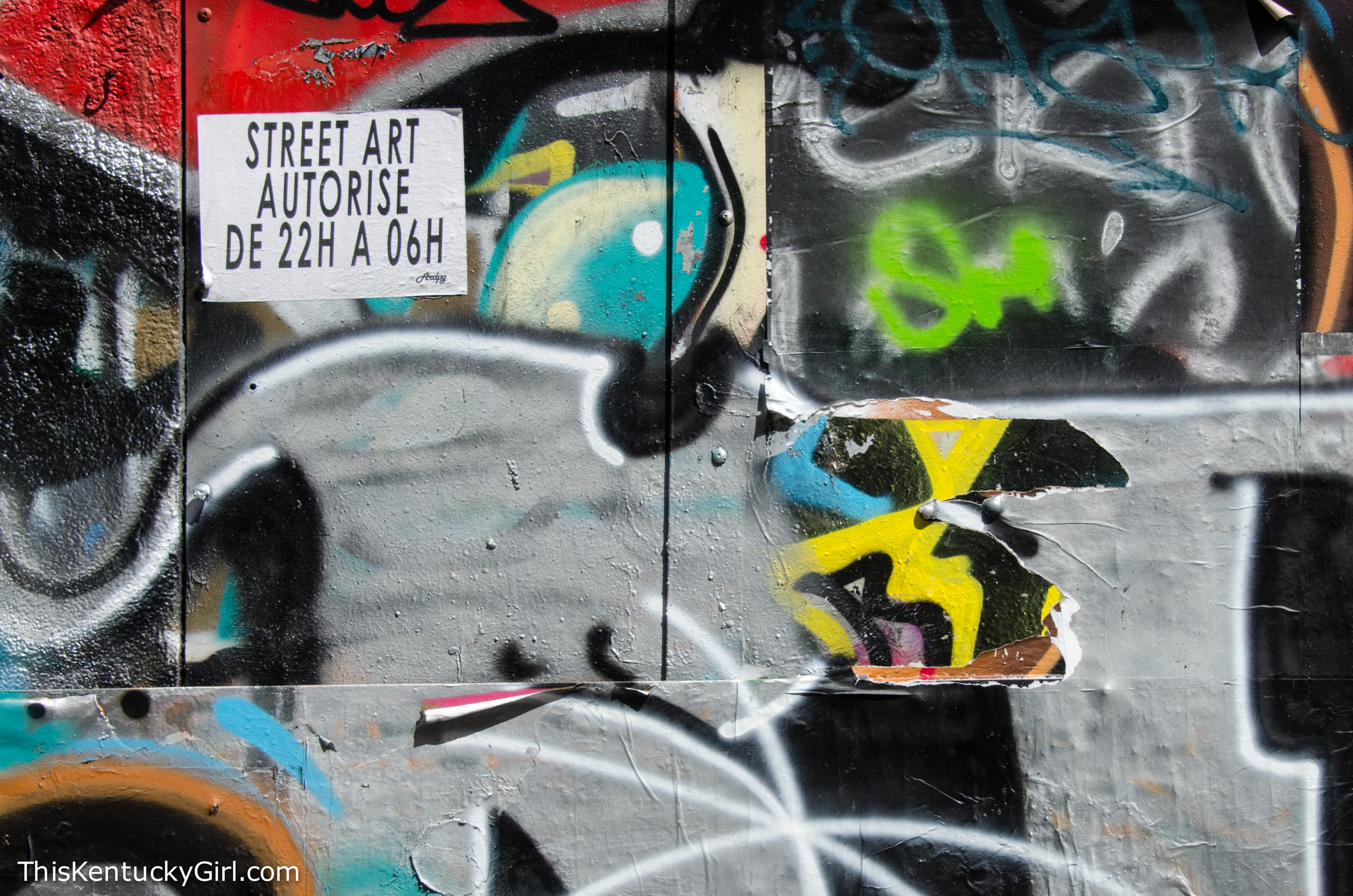Day 350 web-33.jpg