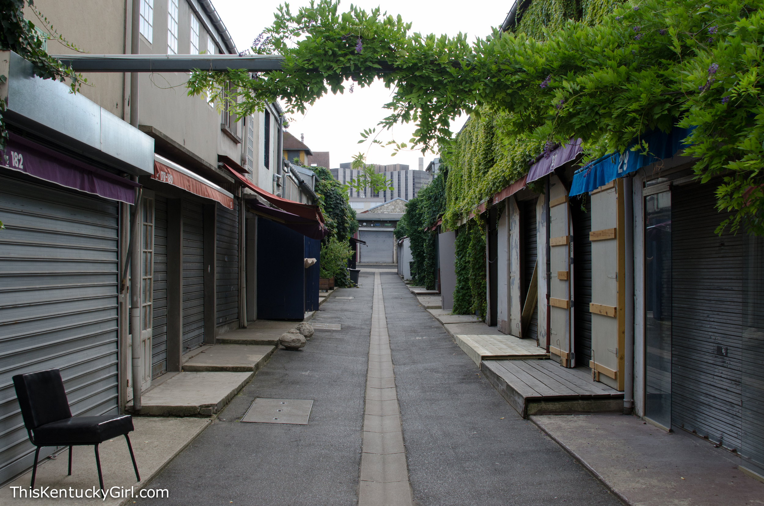 Day 350 web-34.jpg