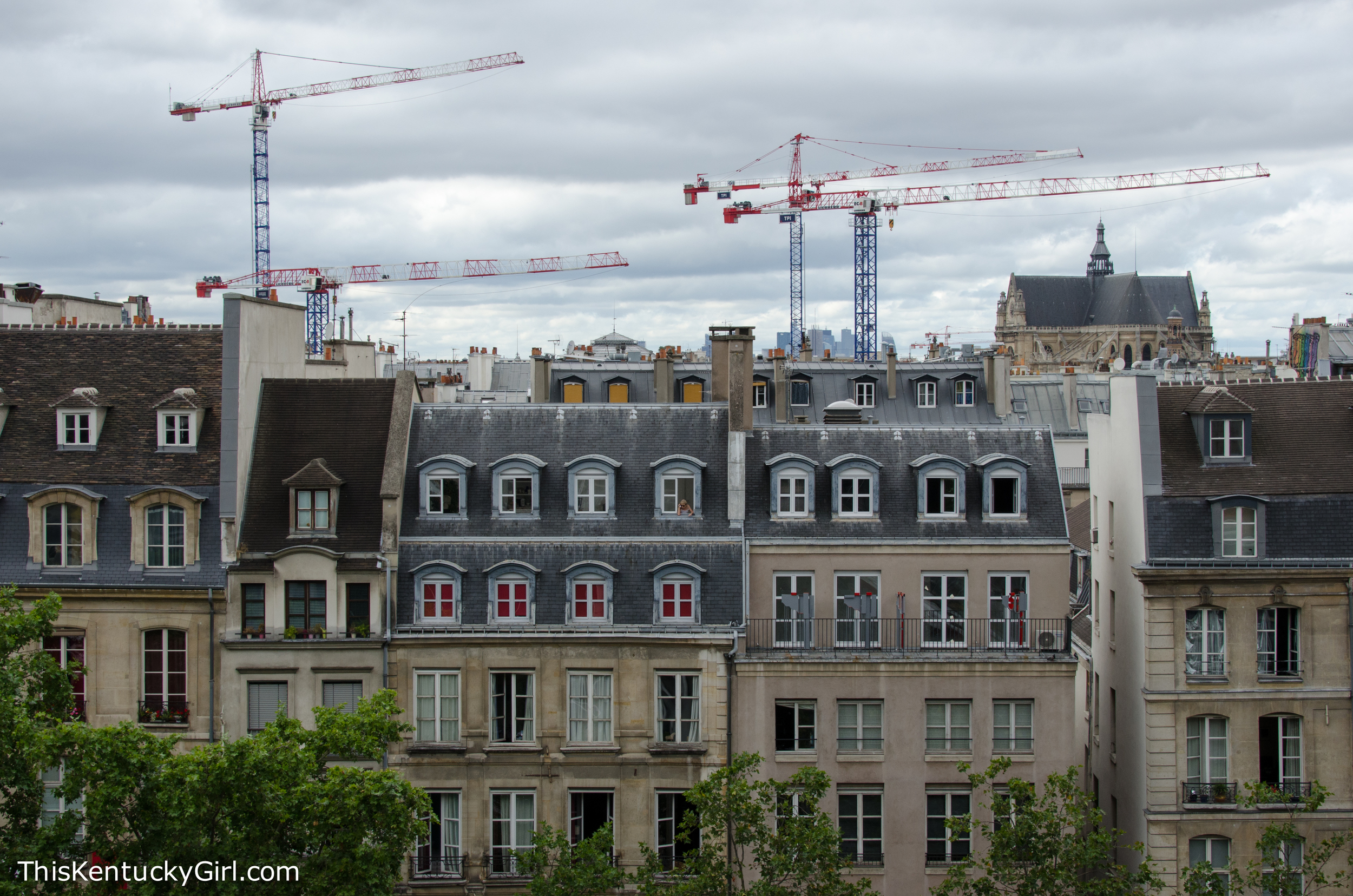 Day 349 web-18.jpg