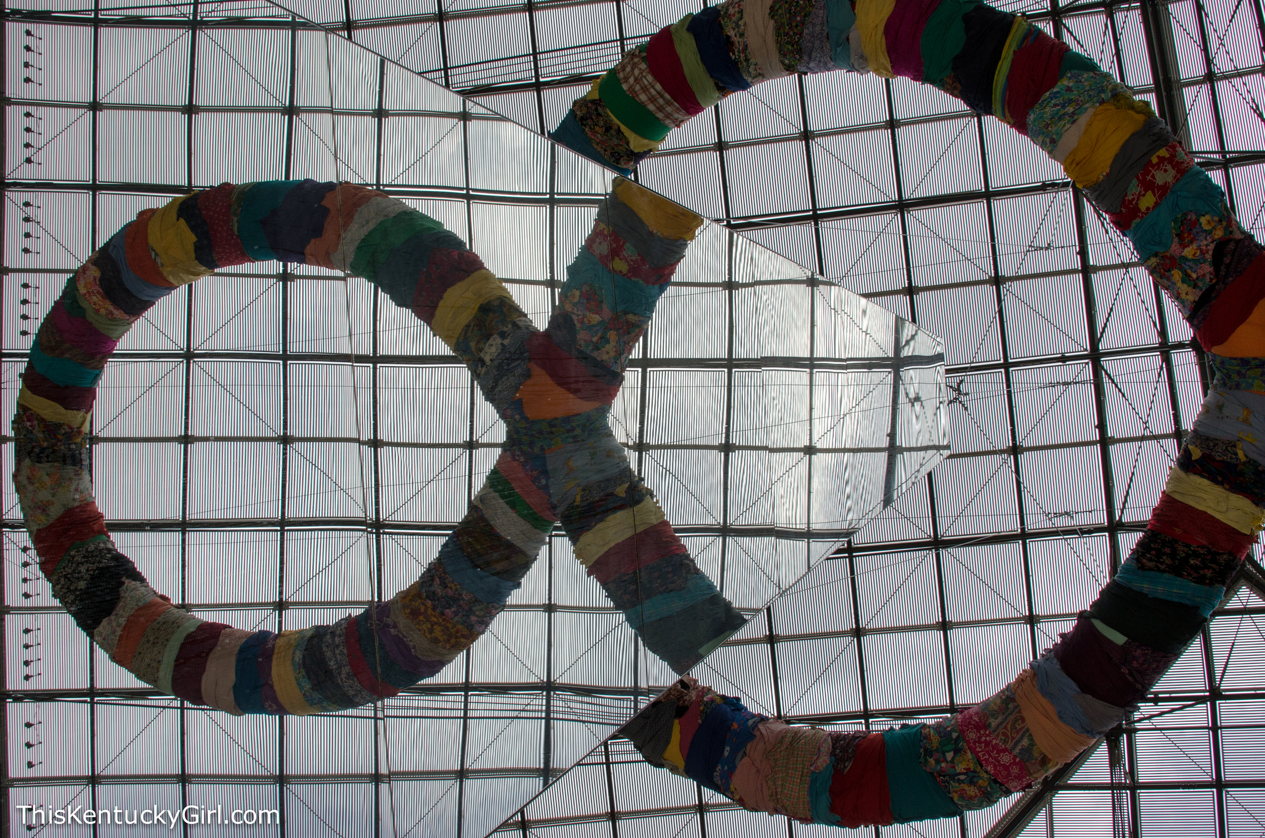 Day 348 web-8.jpg