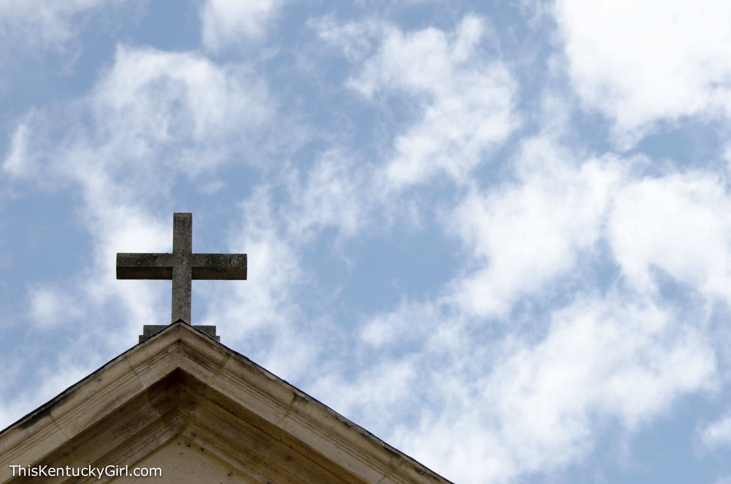 Day 346 web-11.jpg