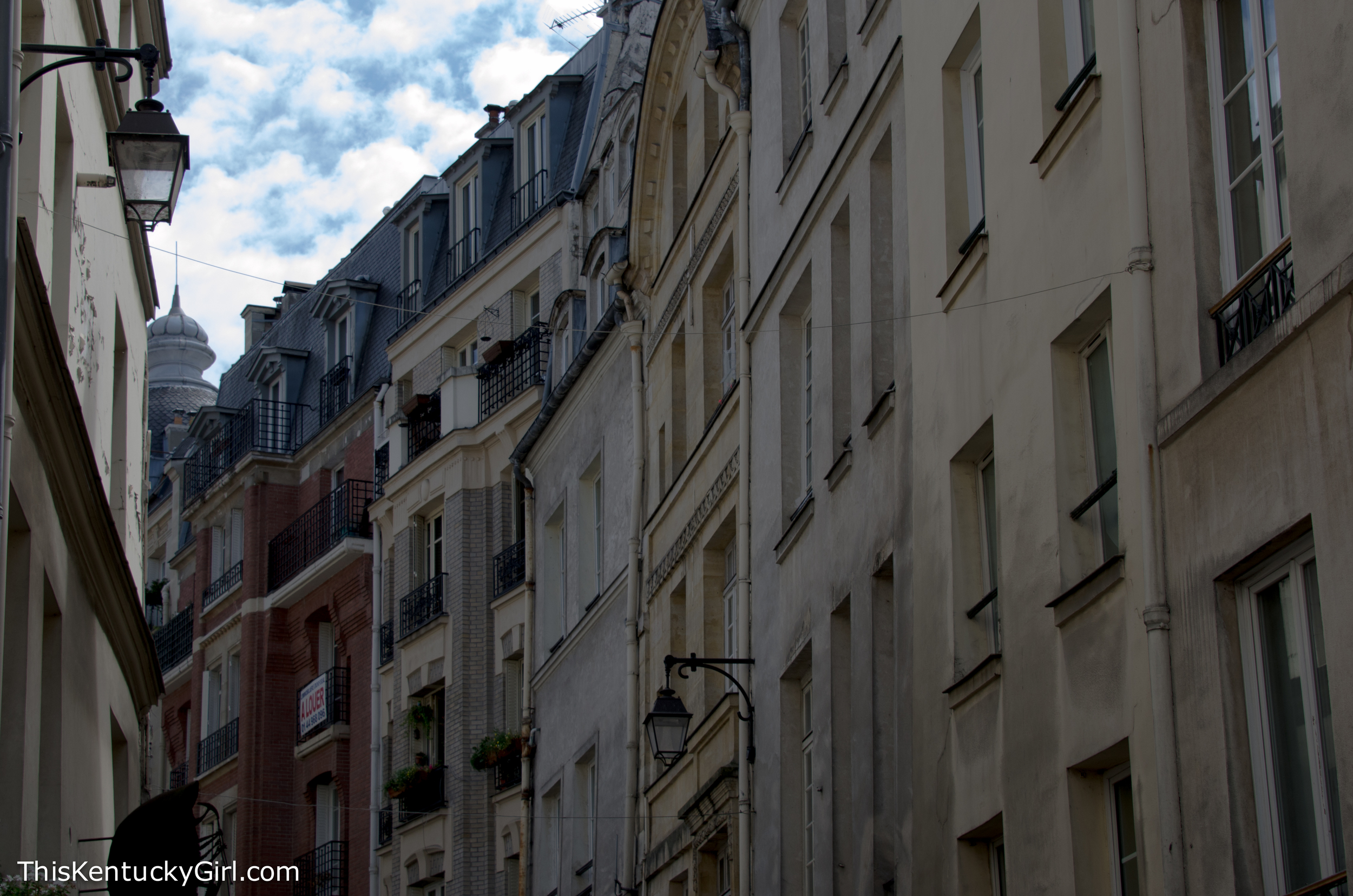 Day 346 web-12.jpg