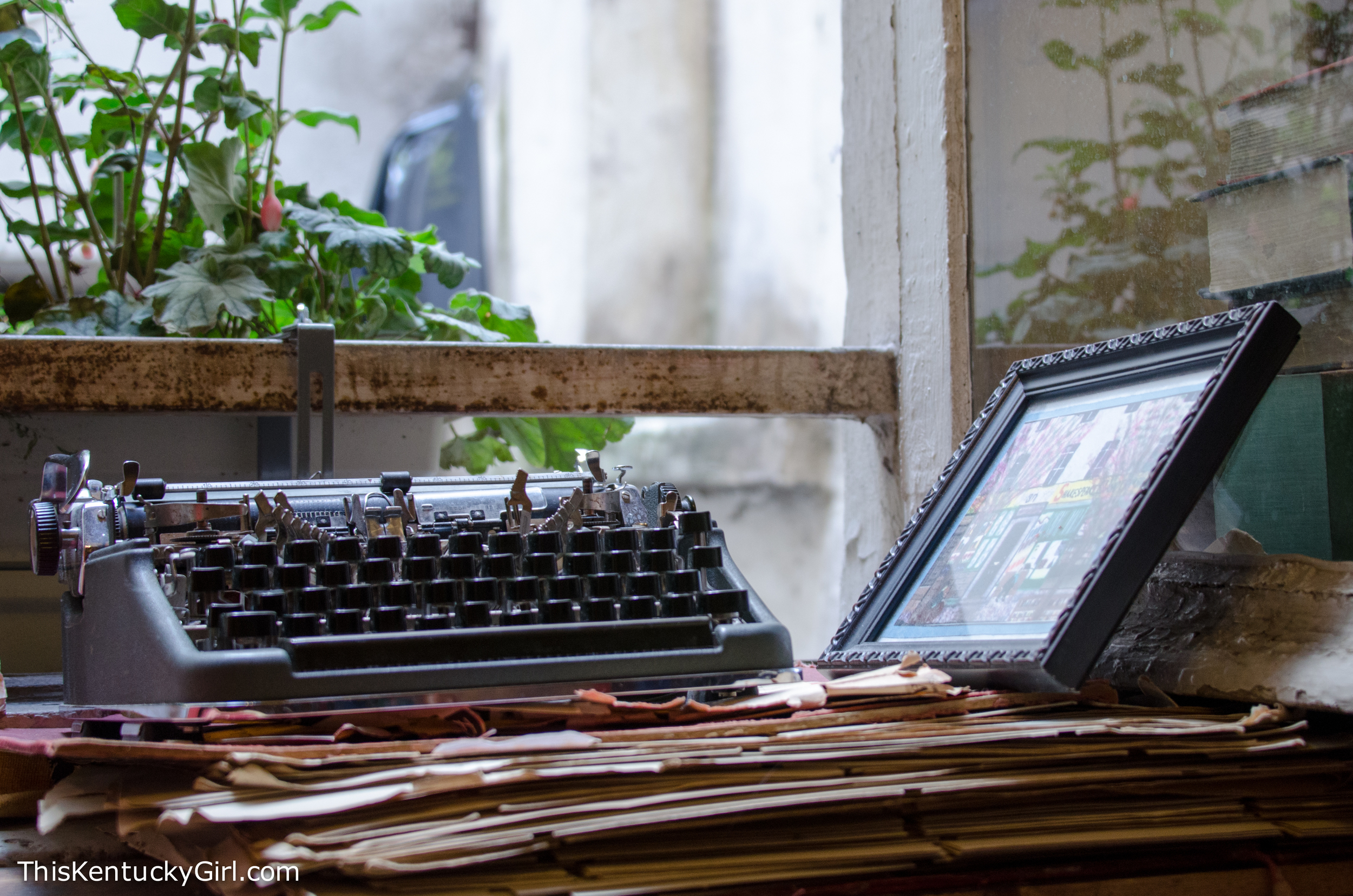 Day 346 web-20.jpg