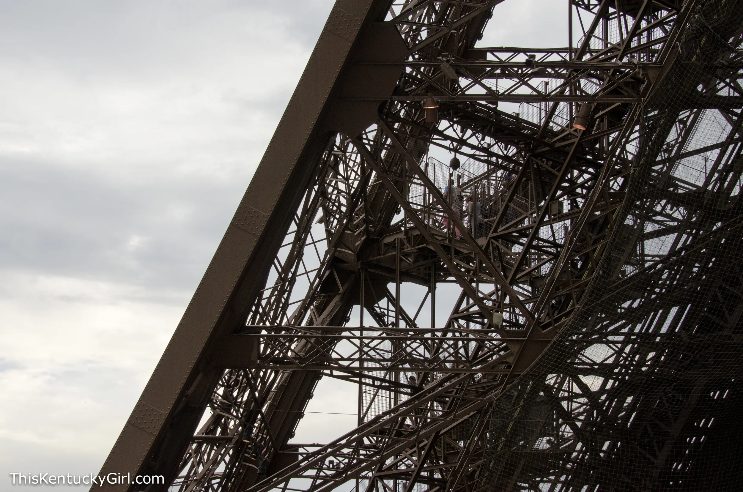 Day 347 web-40.jpg