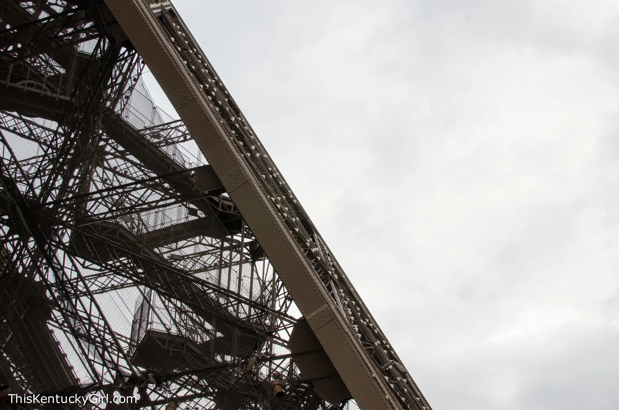 Day 347 web-45.jpg