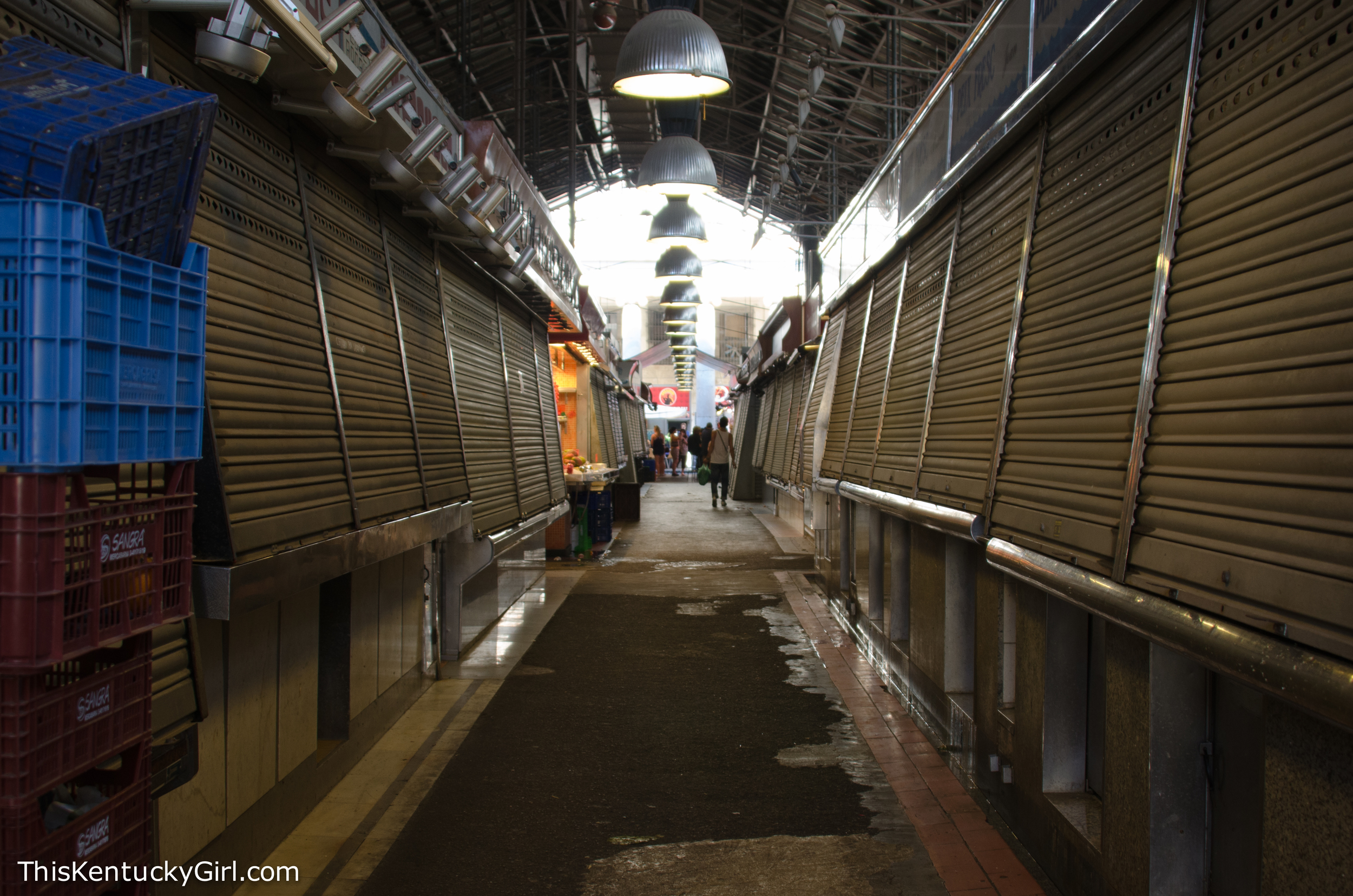 Day 343 web-47.jpg