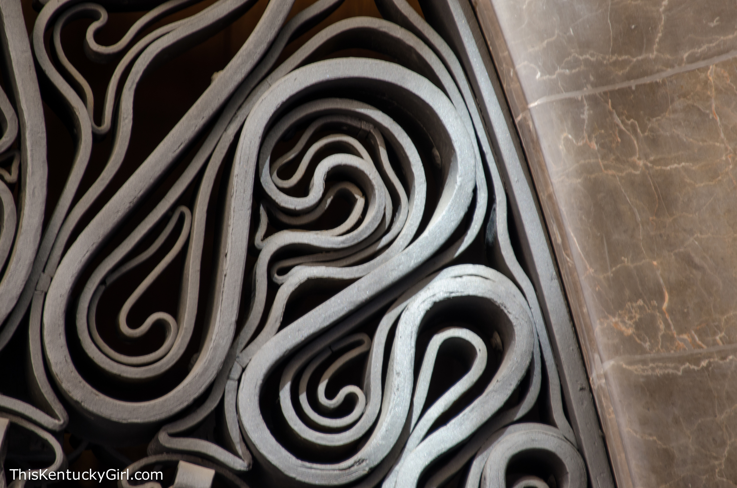 Day 341 web-2.jpg