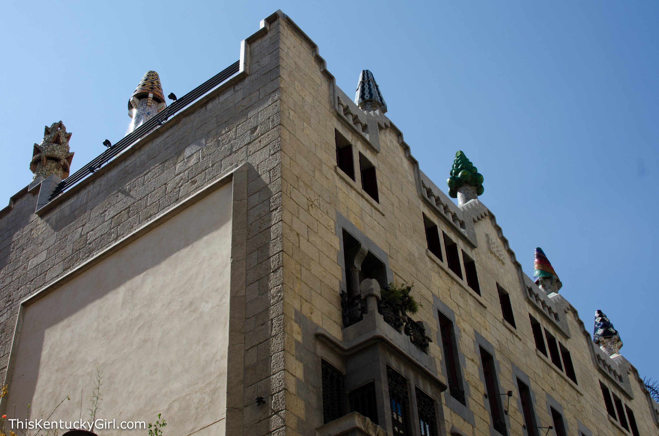 Day 341 web-5.jpg