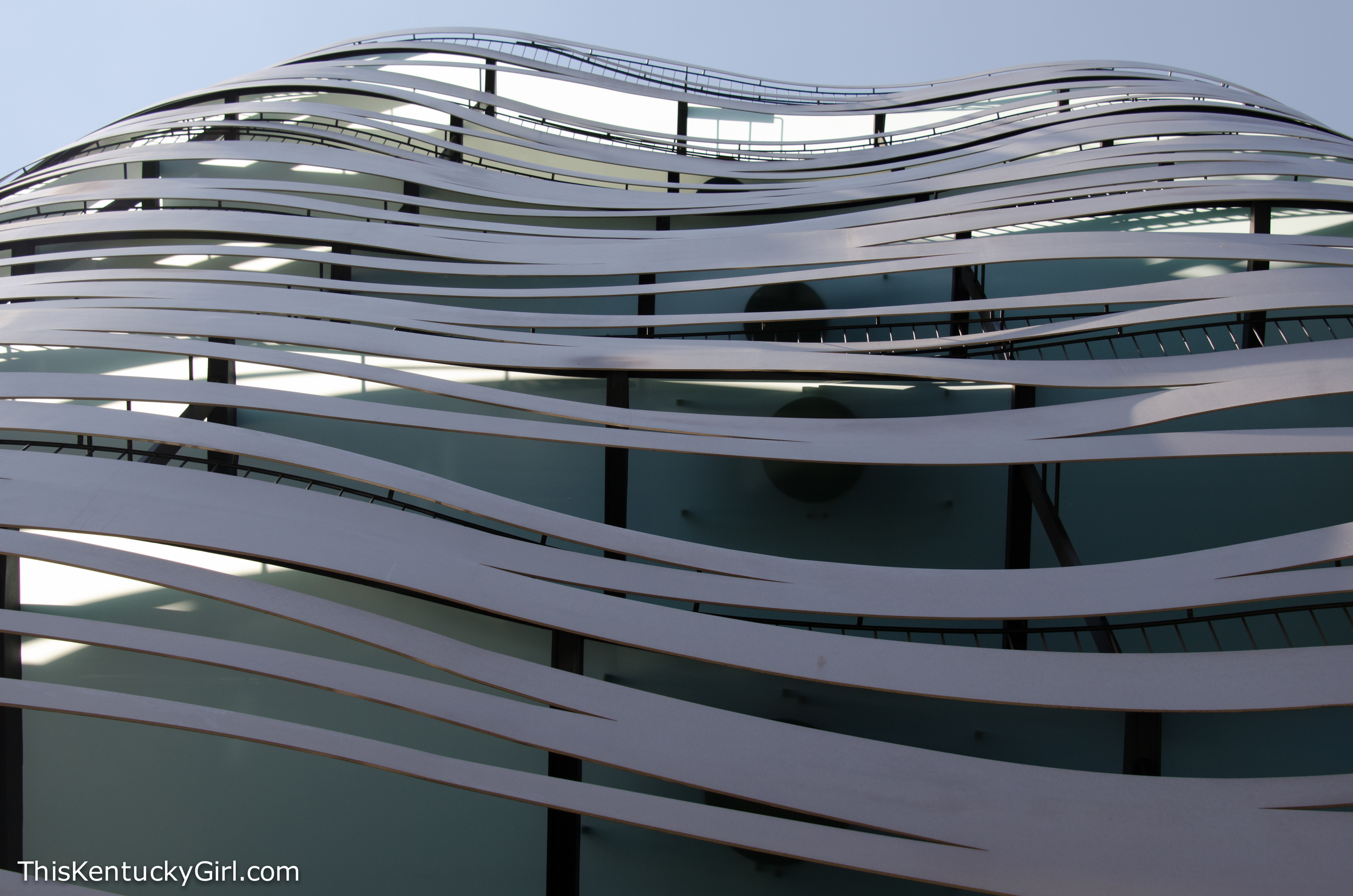 Day 341 web-18.jpg