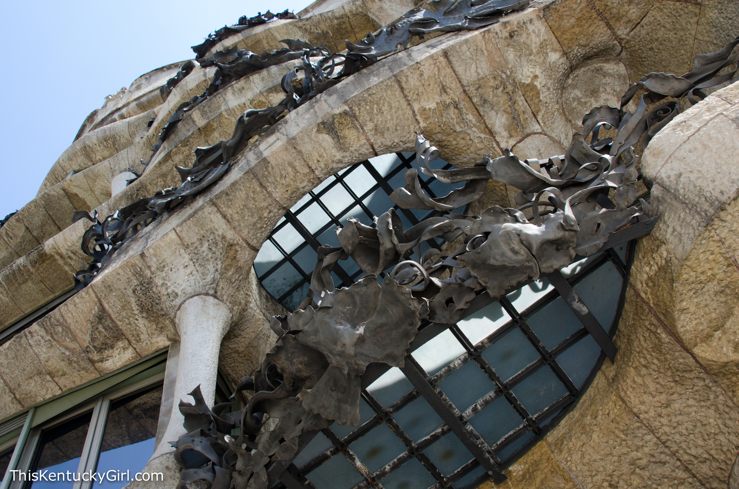 Day 341 web-27.jpg